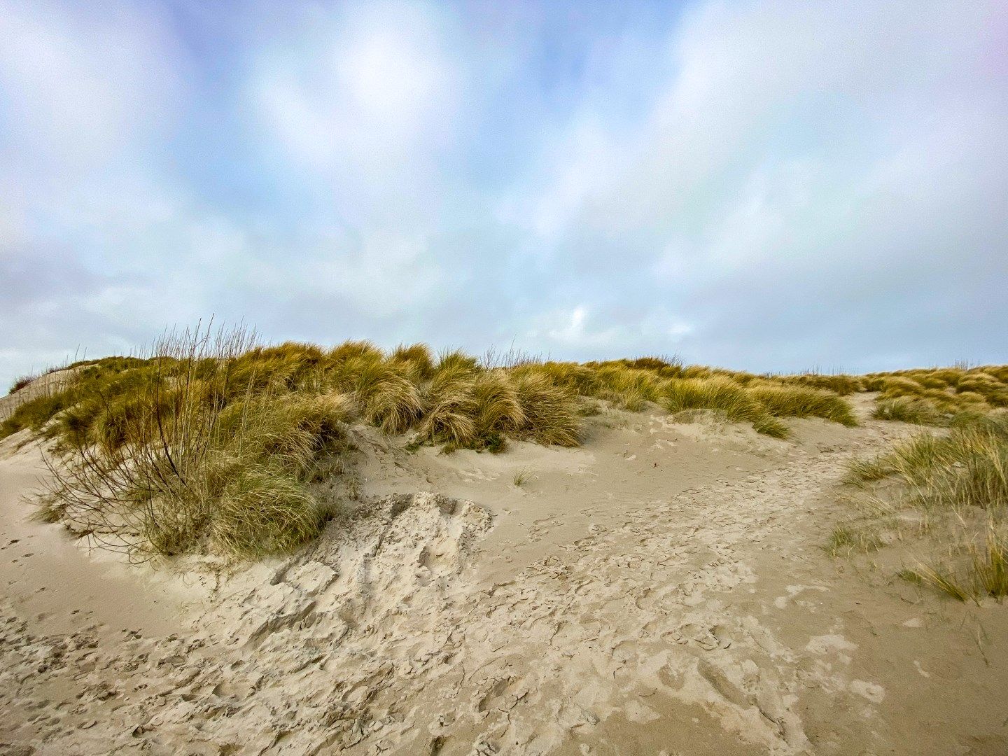 Goed gelegen studio / 1-slaapkamerappartement te Koksijde-Bad, nabij het strand en de Schipgatduinen.  foto 11