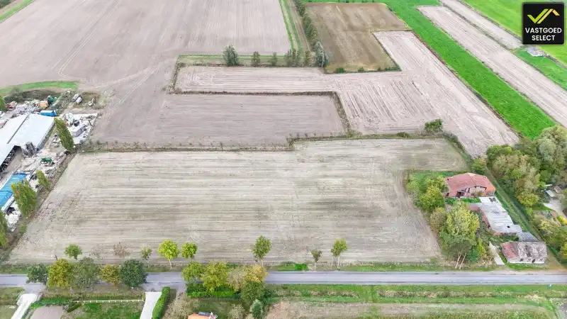Te koop: Hoeve op 15.514 m² grond met potentieel – Moerstraat 14, Eeklo (nabij Sint-Laureins) foto 5