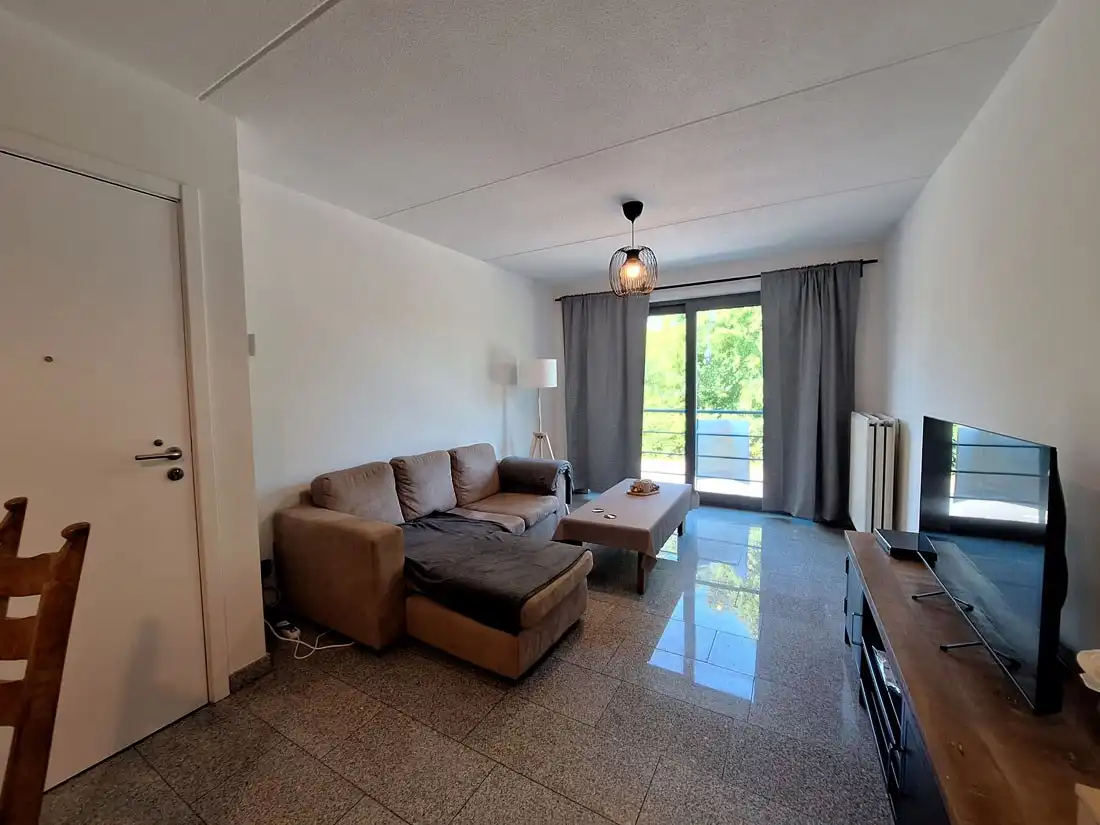 Knus INSTAPKLAAR appartement te Wimmertingen foto 3