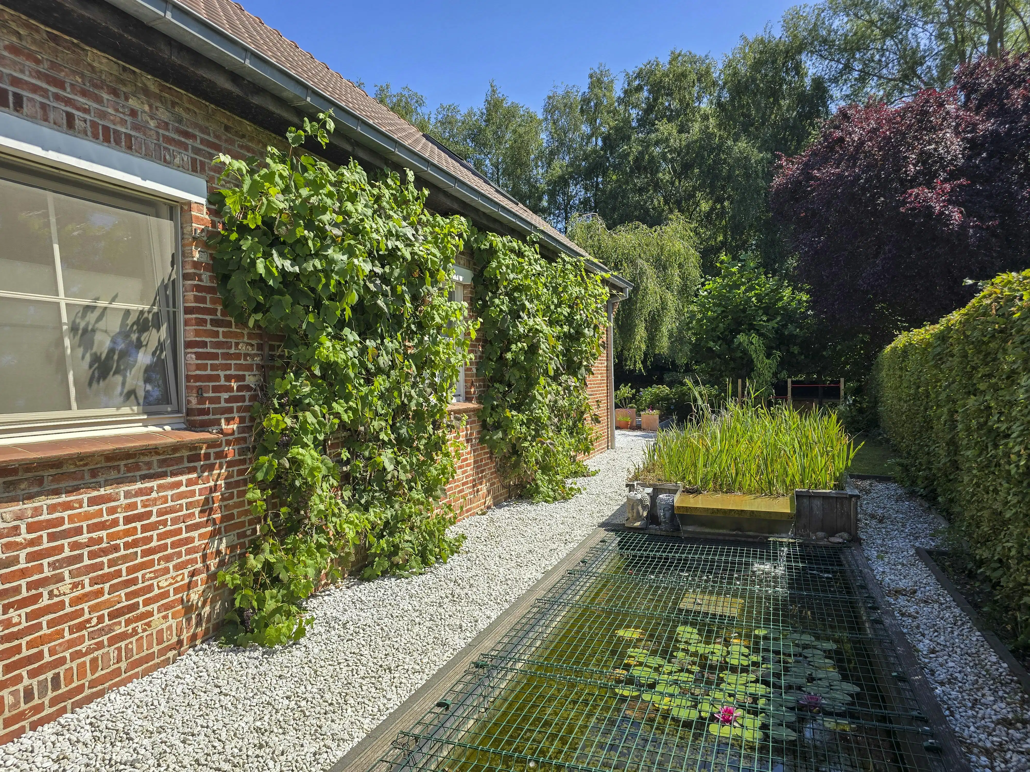 Instapklare halfopen bebouwing met 4 slk op 661m² in Wevelgem! foto 23