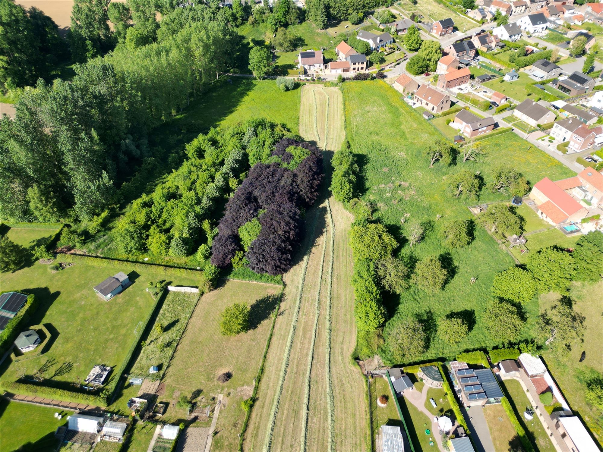 BOUWGROND GESCHIKT VOOR HALFOPEN BEBOUWING IN TONGEREN  foto 2