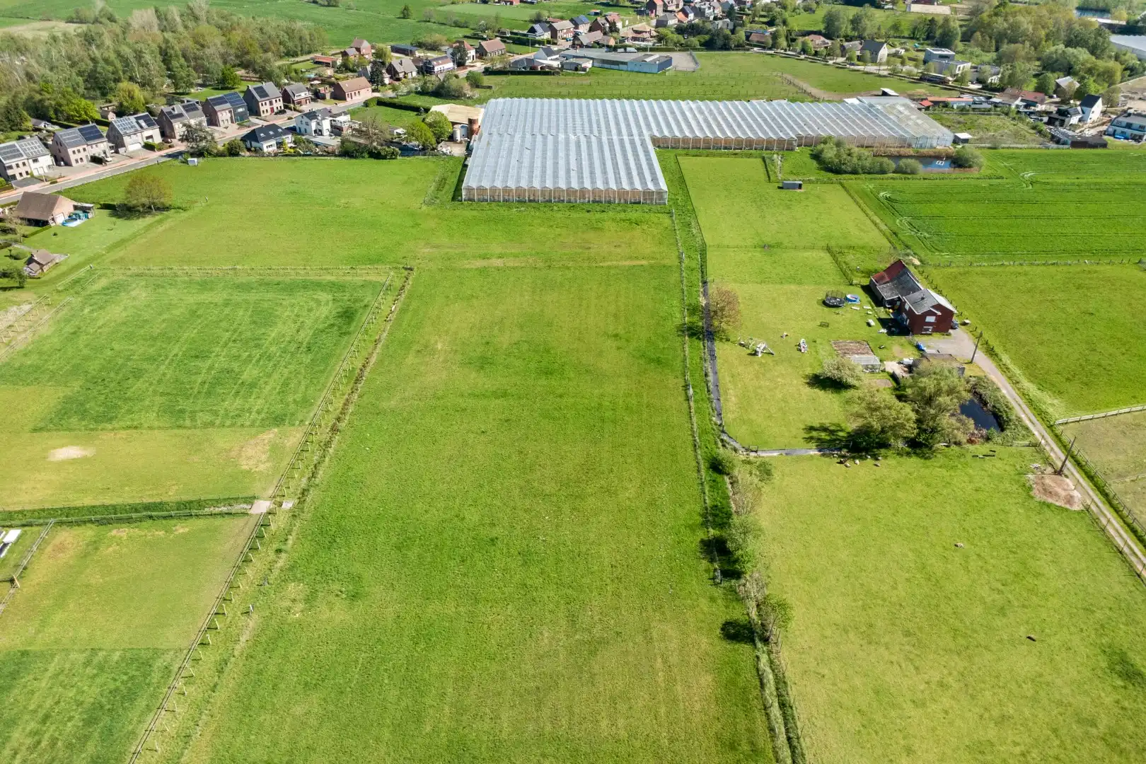 Serrecomplex met agrarische grond en magazijn foto 4