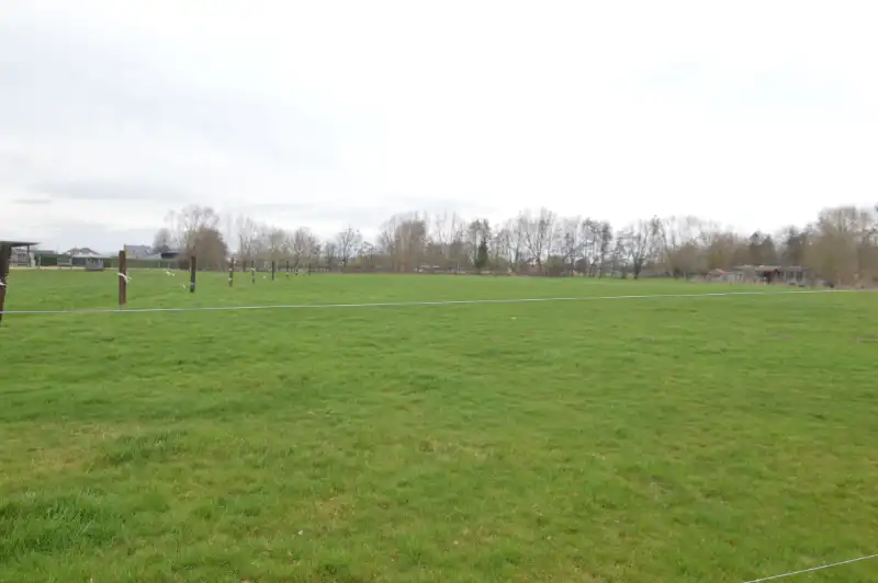 Authentieke te renoveren hoeve op circa 2,5ha. foto 12