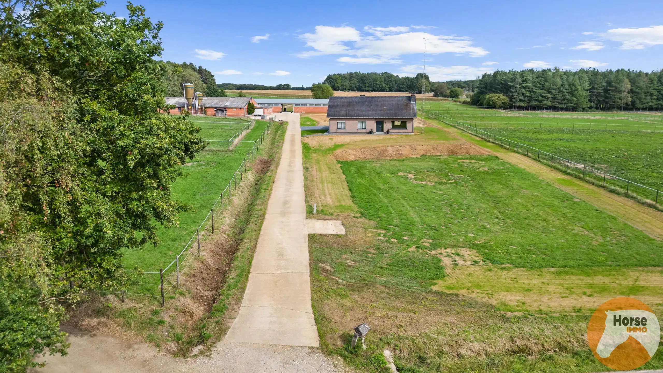 SCHAFFEN - Landbouwwoning op +/- 6,7 ha en paardenstalling foto 33