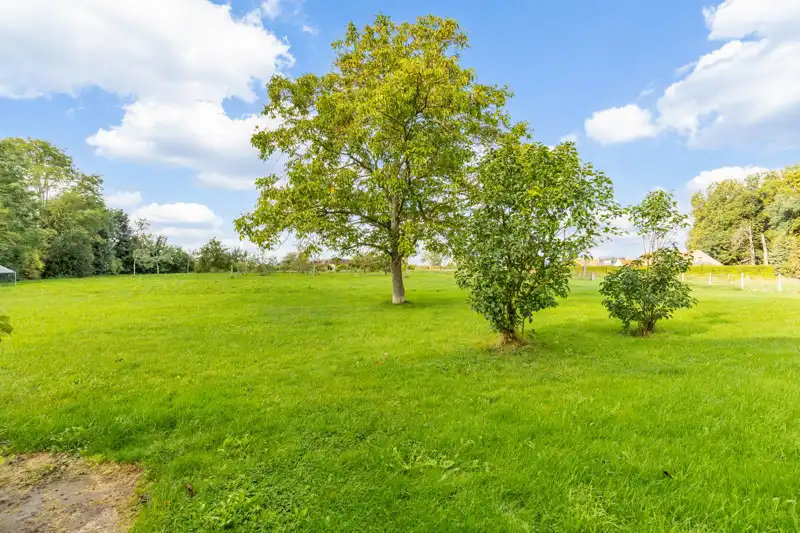 Gezellig huisje gelegen in het groen foto 22