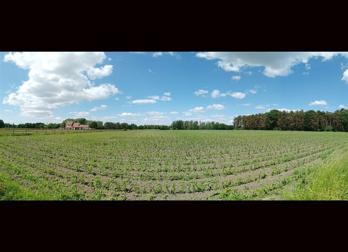 Unieke locatie, twee jaar geleden vernieuwd  foto 10