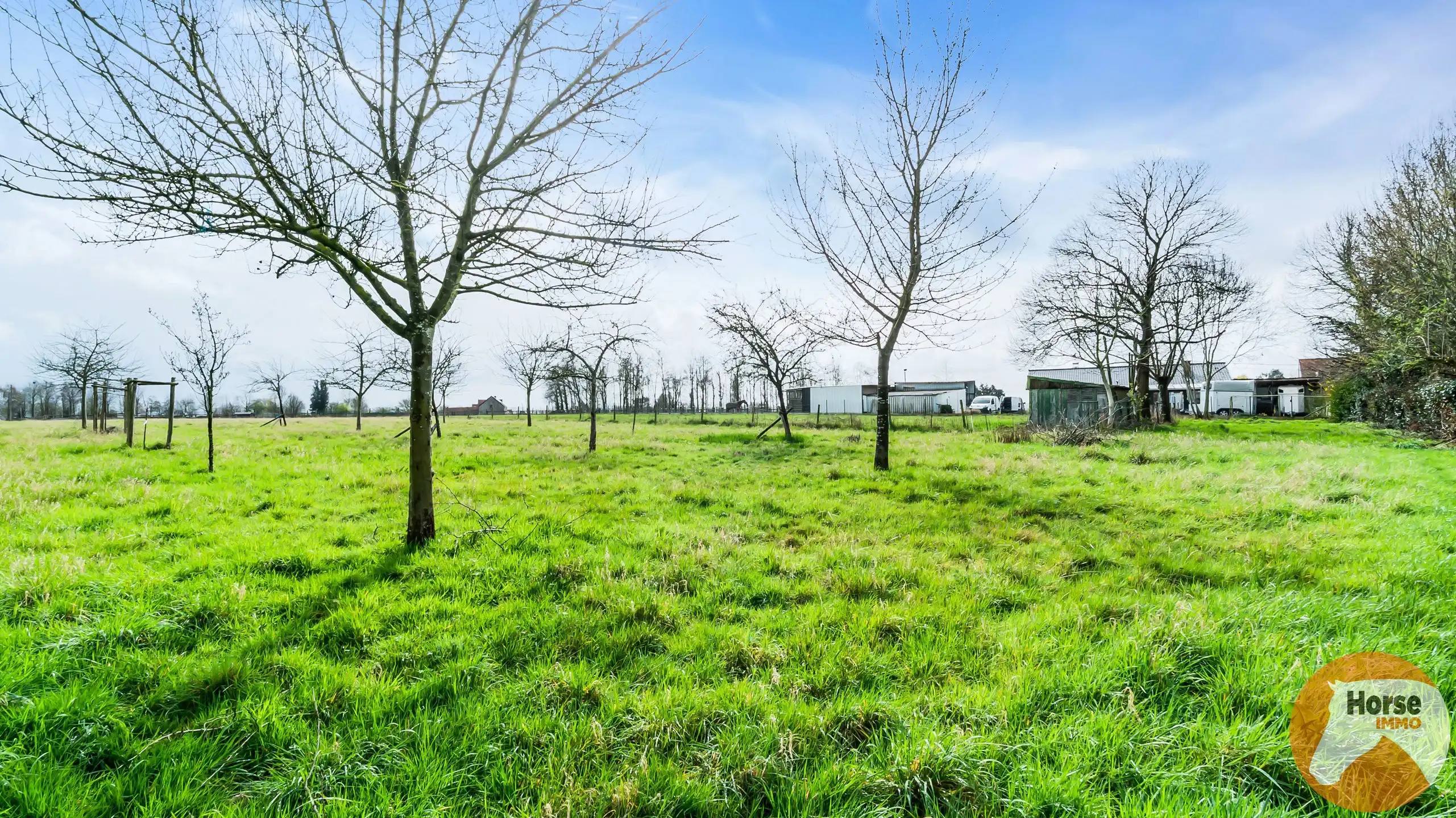 ZWALM - Villa op +/-1,1HA foto 31