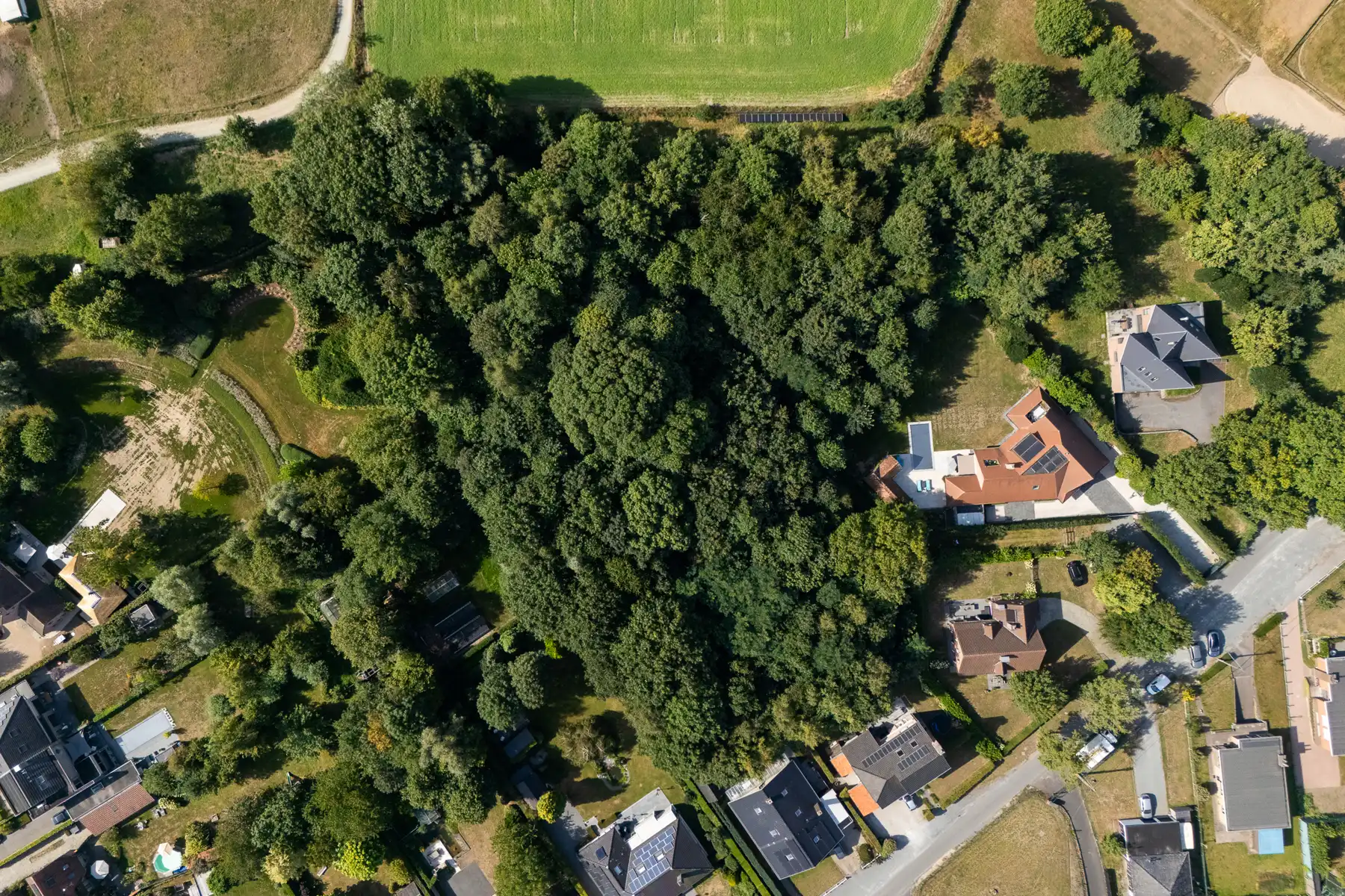 Unieke bouwgrond in 2de bouwlijn op topligging foto 9