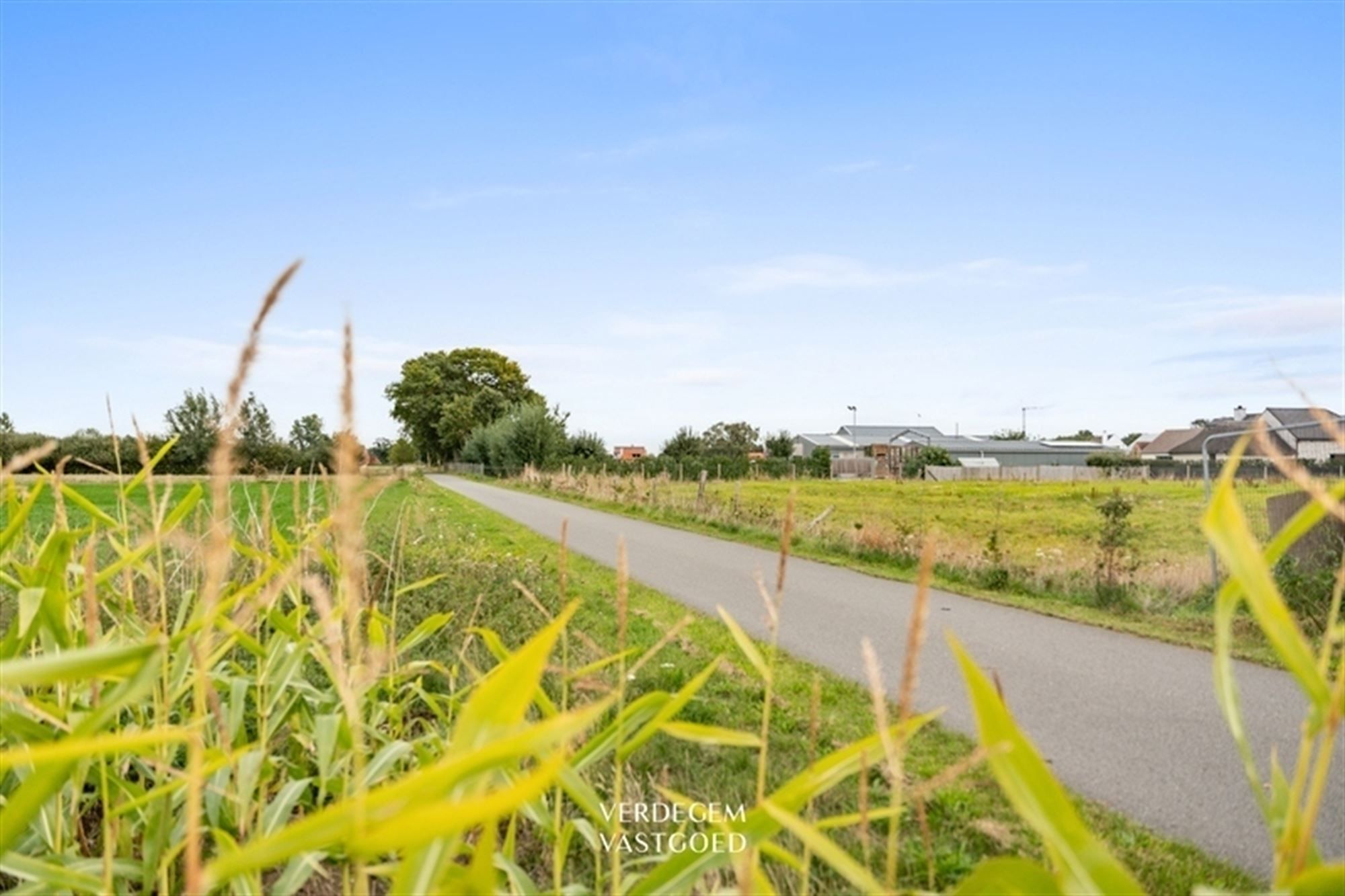 Bouwgrond van 511,93m² voor halfopen woning, zonder bouwverplichting foto 5