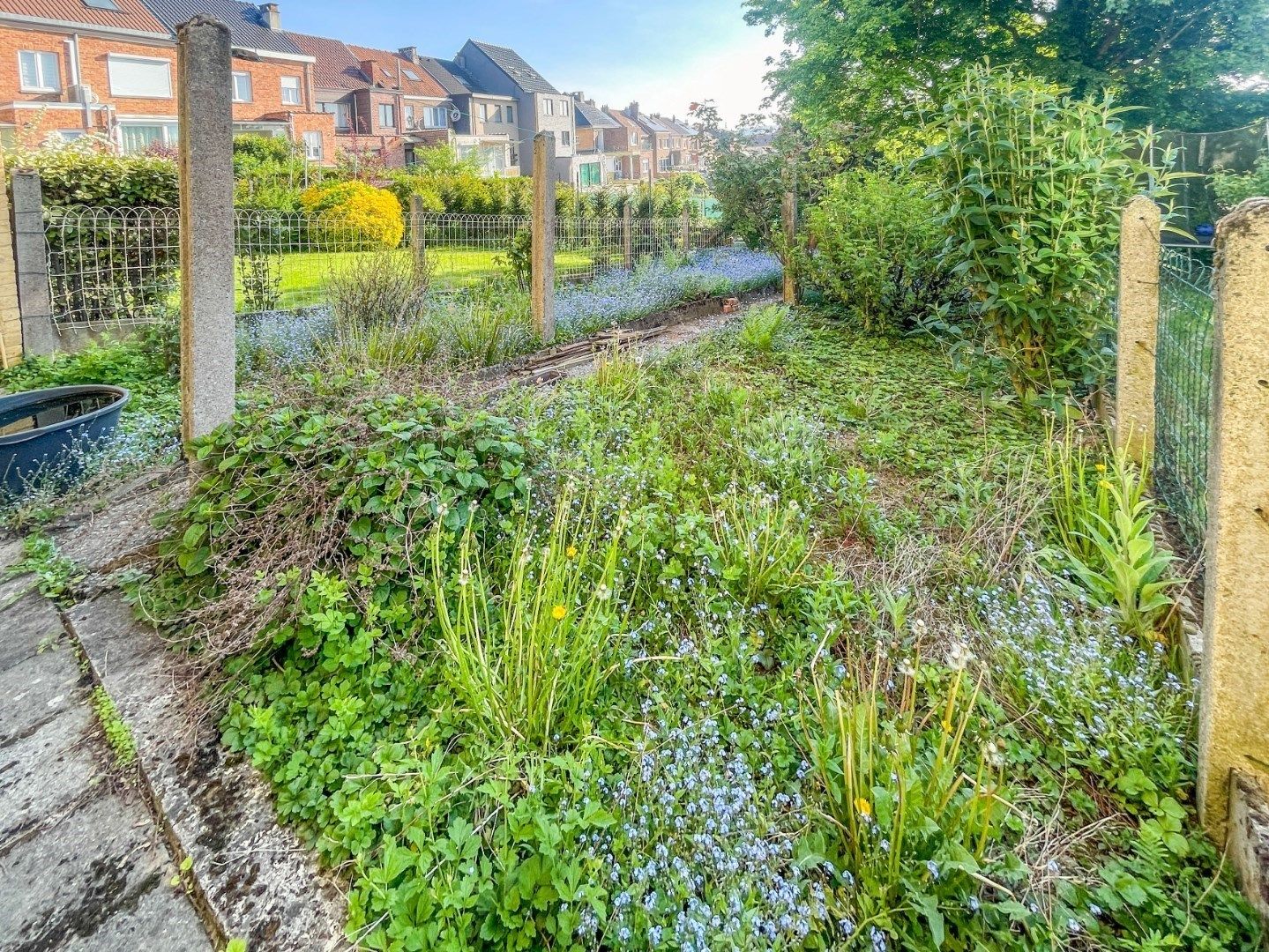 OPBRENGSTEIGENDOM MET 2 APP, GARAGE, TERASSEN & TUIN ! foto 20