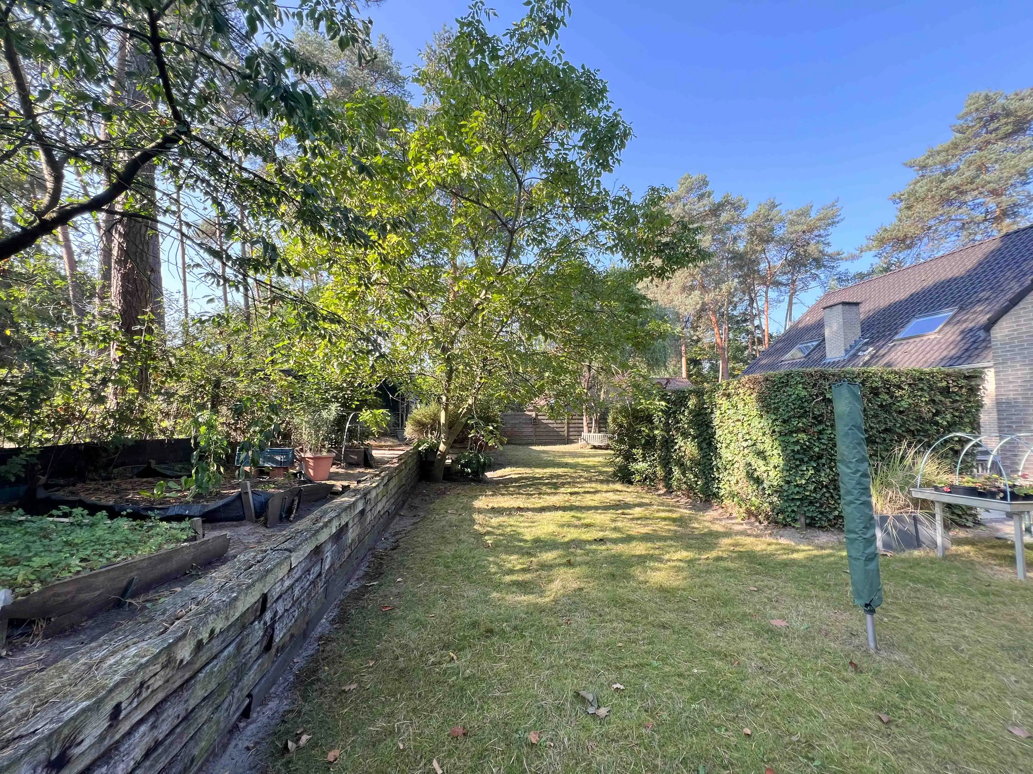 Exclusieve villa op rustige locatie foto 30