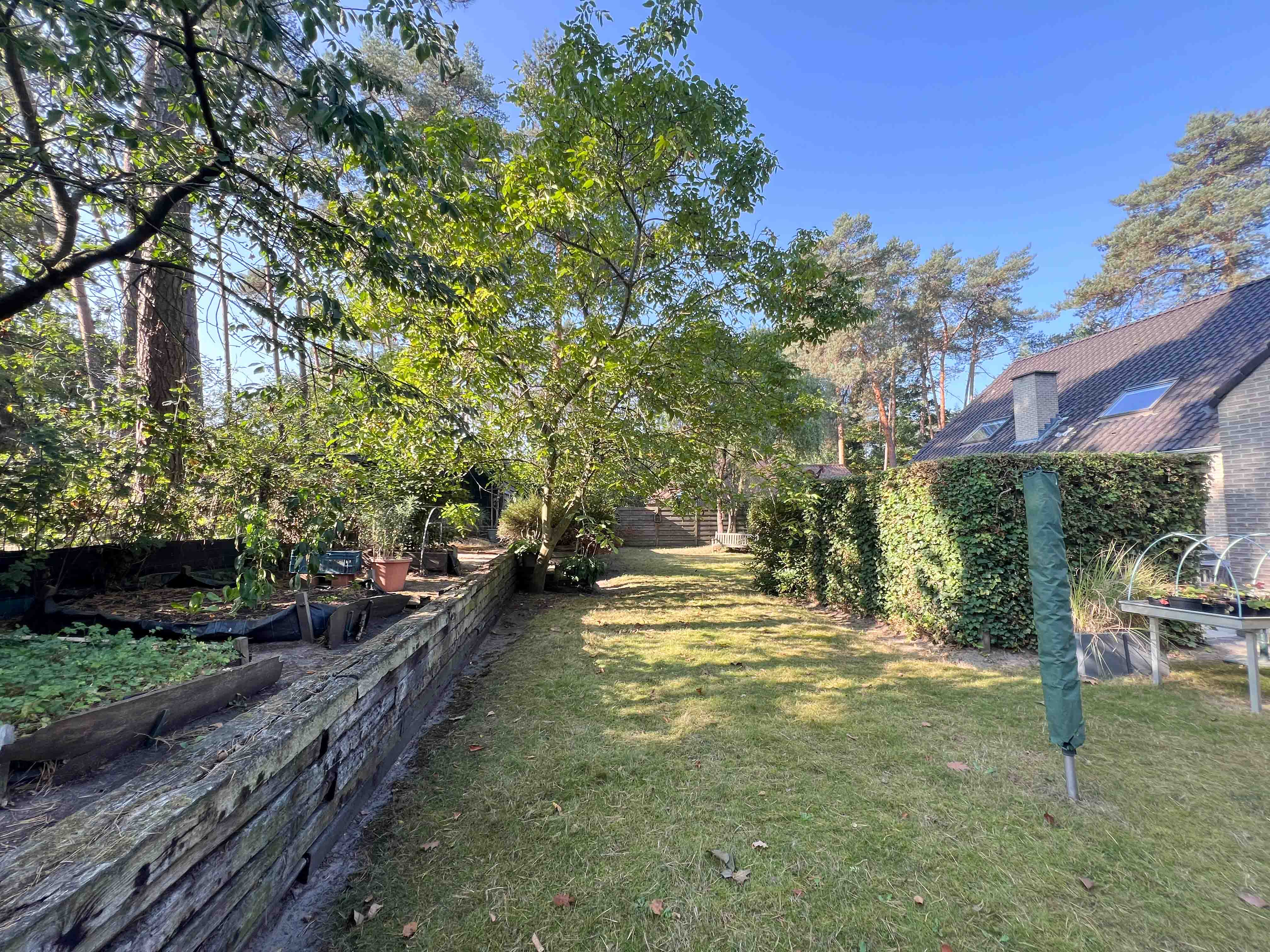 Exclusieve villa op rustige locatie foto 30