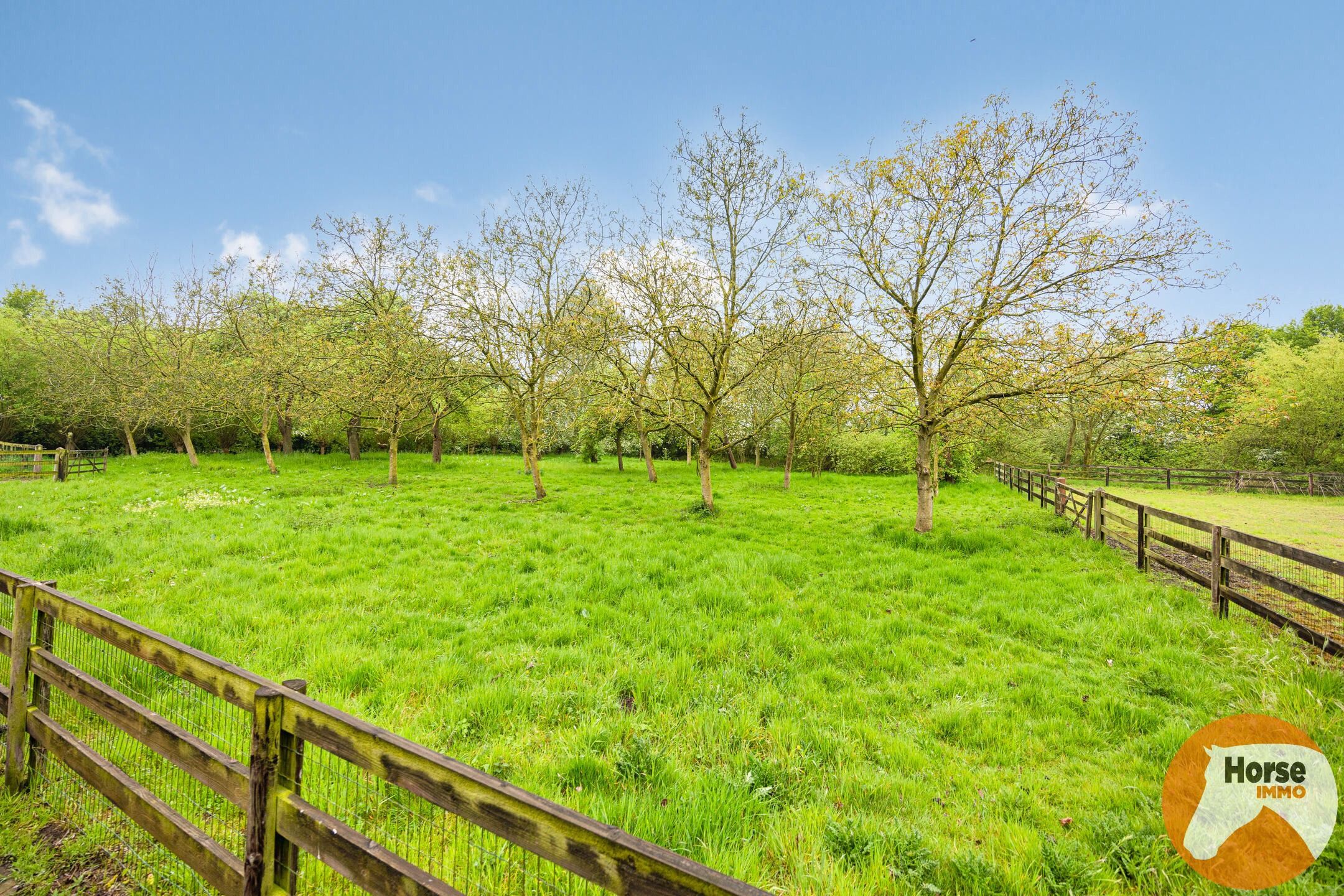 BEERVELDE - Prachtige hoeve met twee authentieke bijgebouwen foto 45