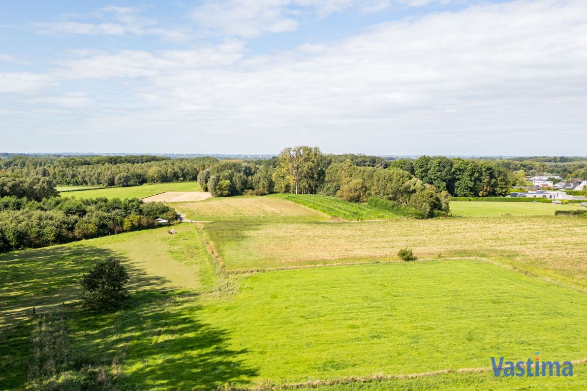 Bouwgrond voor halfopen bebouwing in Baardegem - Lot 01 foto 9