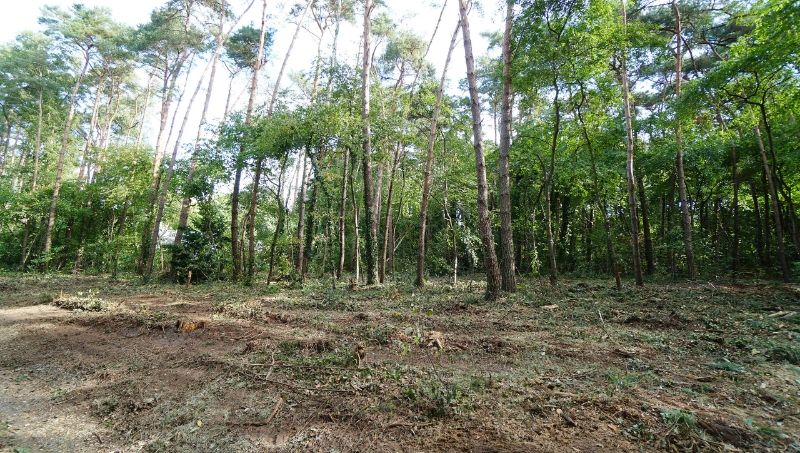Residentieel gelegen bouwgrond van 31a10ca voor open bebouwing met private toegangsweg nabij golf- en meerdomein foto 2