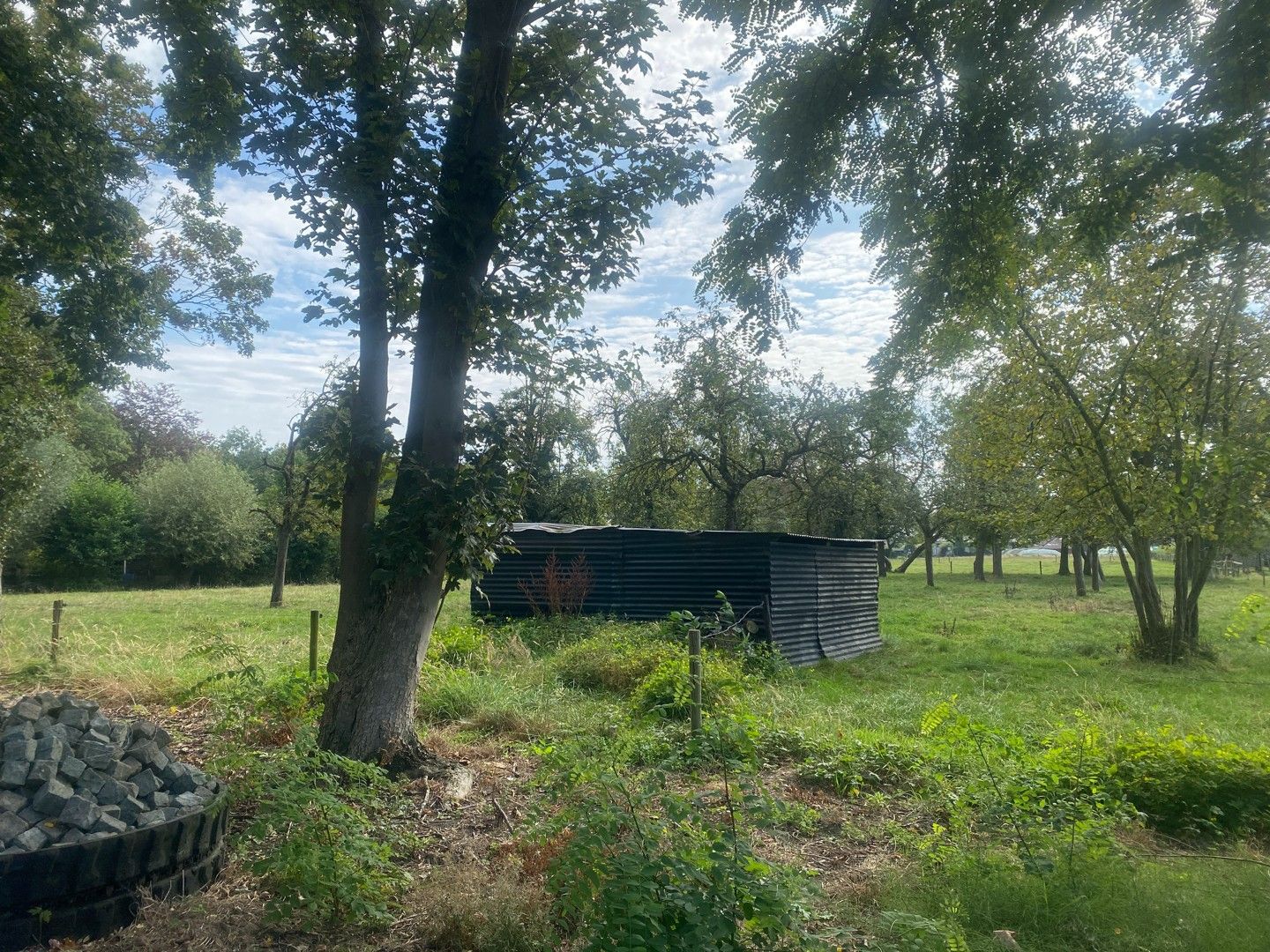 Knappe hoeve met ruime af te werken woning en twee gebruiksklare loodsen foto 18