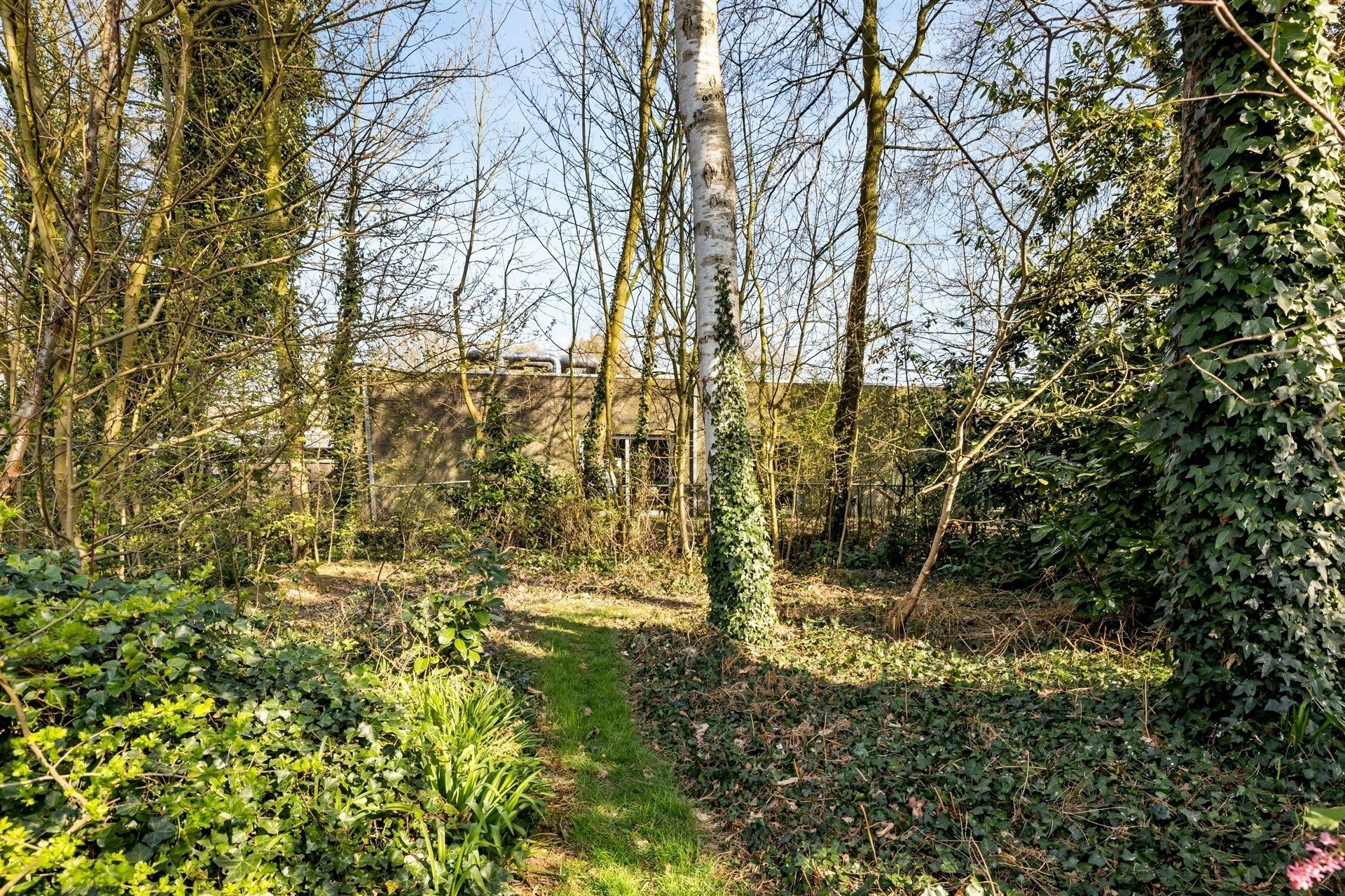 Uitstekend gelegen gezinswoning (type bungalow) met 4 slaapkamers, garage en een aangename tuin (1.067m²) foto 27