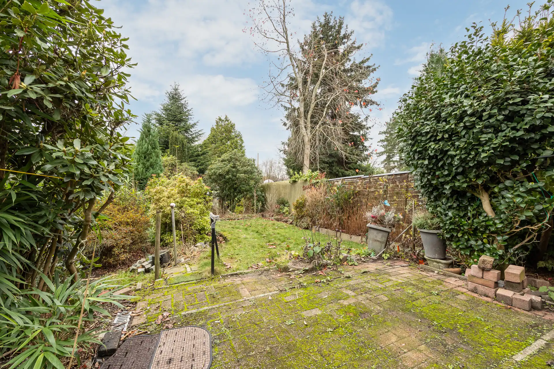 Gezinswoning met 2/3 slaapkamers op topligging in Hoboken foto 15