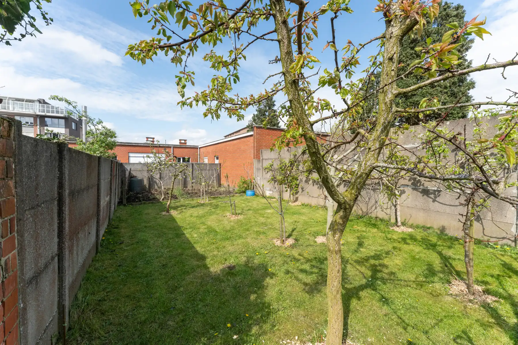 Vernieuwde woning,  gelegen te Roeselare met tuin en garage  foto 14