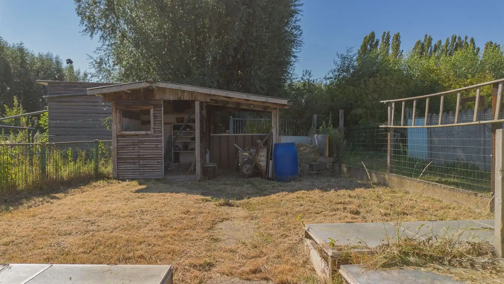 Gezellige HOB met ruime tuin, serres, tuinhuis en eigen oprit te Buggenhout foto 22