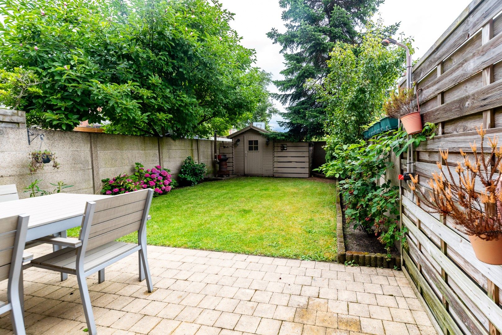 Leuke woning aan de Vogeltjeswijk foto 3