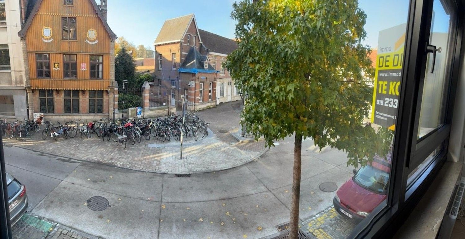 Instapklaar en modern afgewerkt 3-slaapkamerappartement met terras in hartje Leuven foto 10