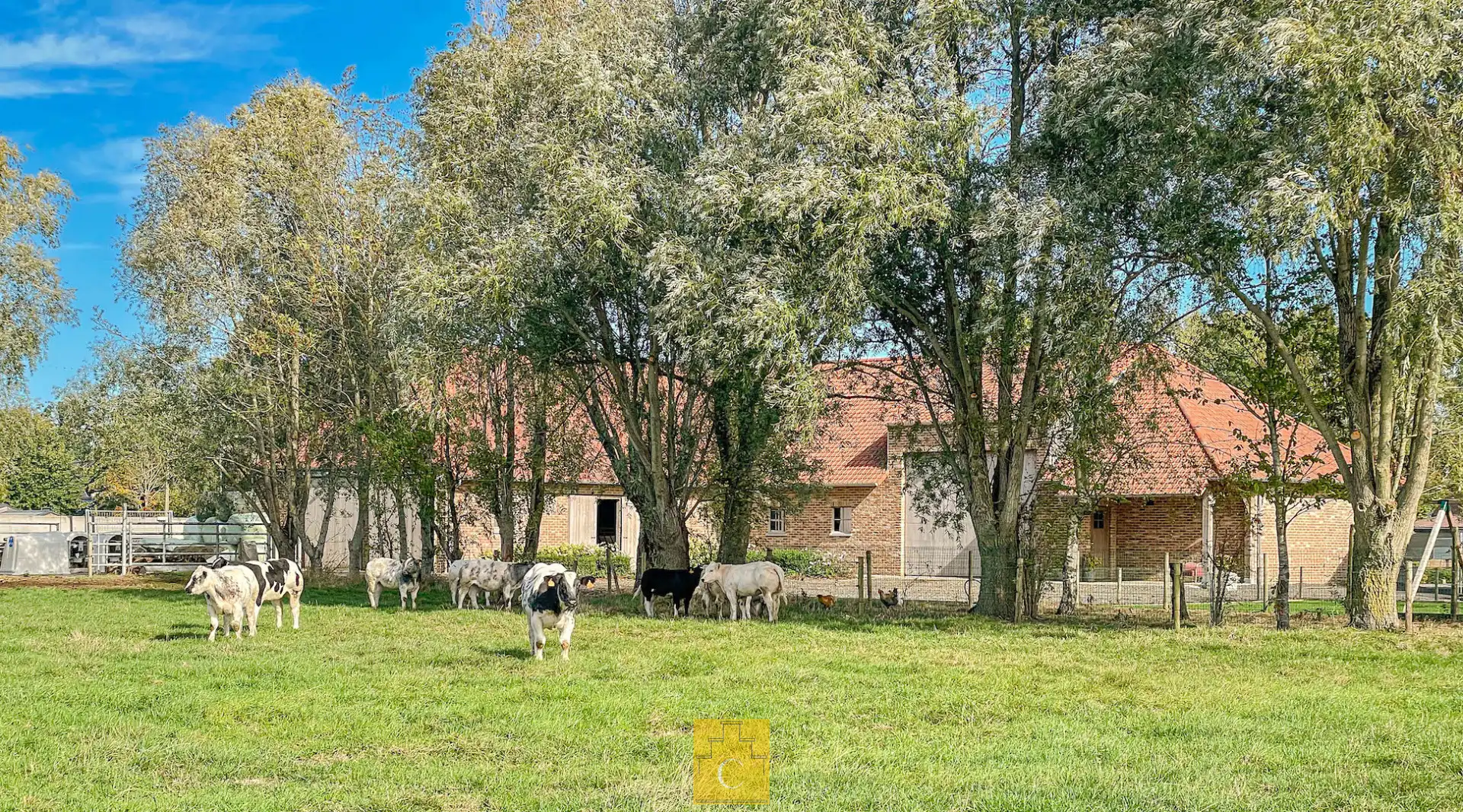 Boerderij met nieuwbouwloods (+400M2) en woning op 11.776 m² foto 8