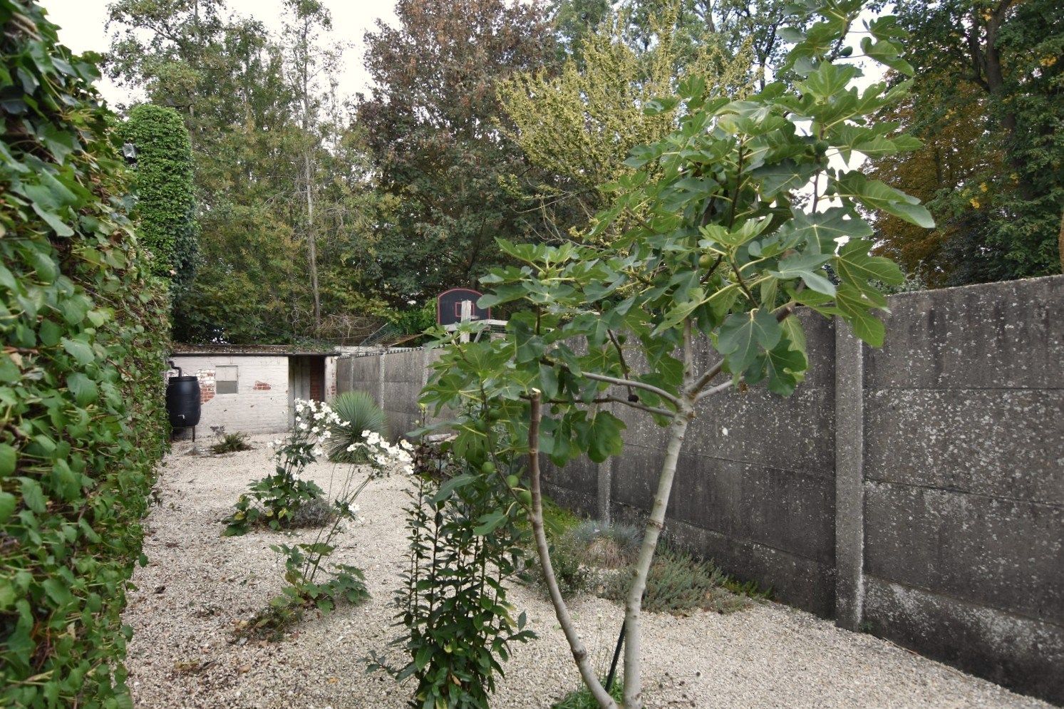 Toffe stadswoning met tuin in RSL foto 4