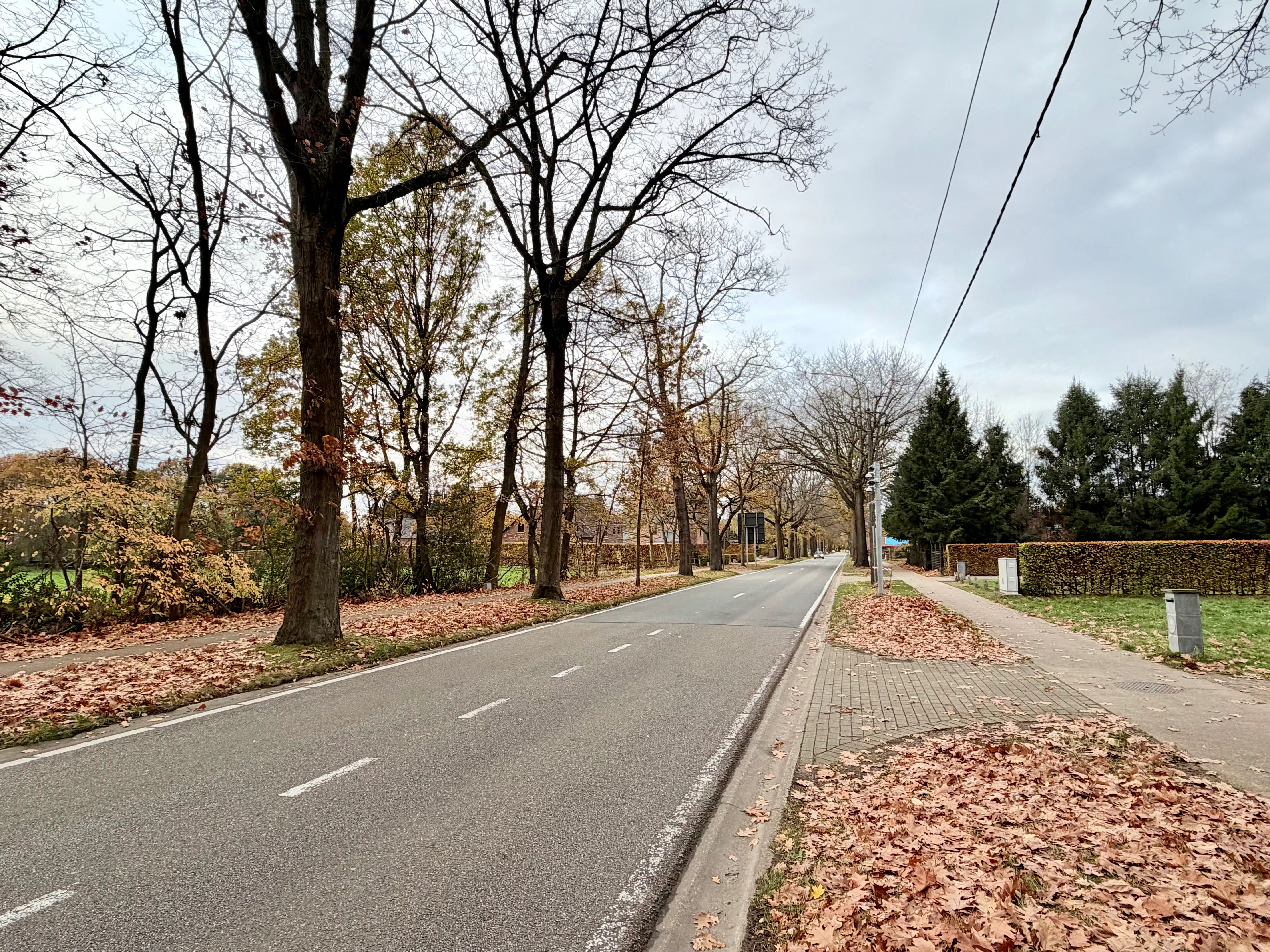 Genk, Camerlo 40: Ruim perceel, open bebouwing, geschikt voor appartement met 2 wooneenheden, 9a42ca. foto 5