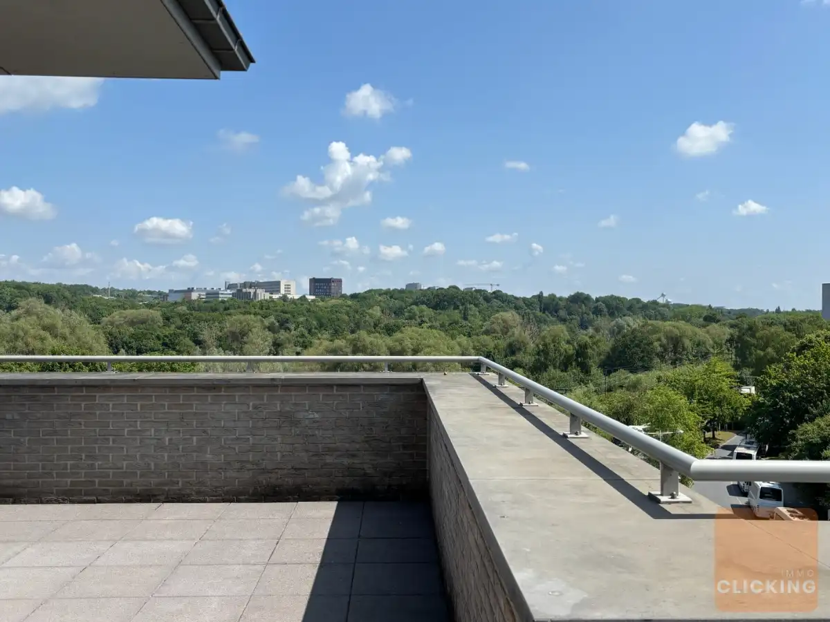 Uitzonderlijke penthouse met 3 slaapkamers en fantastisch terras (200m2) foto 6