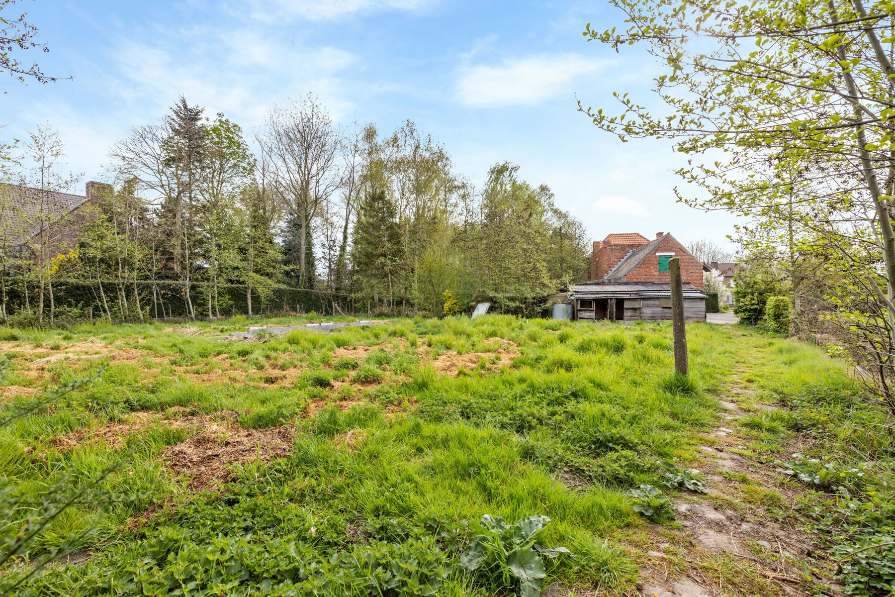 Uniek te renoveren pareltje met 4 slpk op 3528m² foto 5
