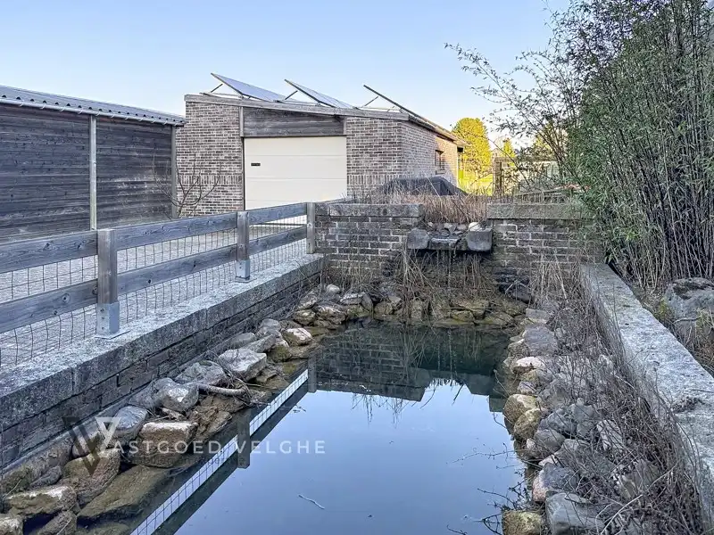 🌿 Goed onderhouden woning met 4 slaapkamers, grote garagebox/werkplaats & energiezuinige voorzieningen in Uikhoven foto 52