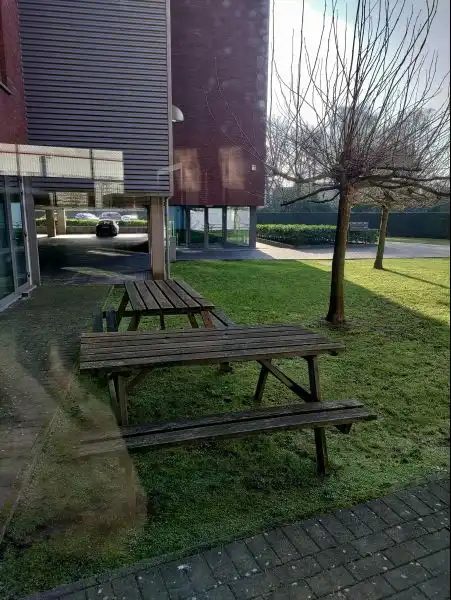 Nachtegaalstraat 8, 9240 Zele foto 6