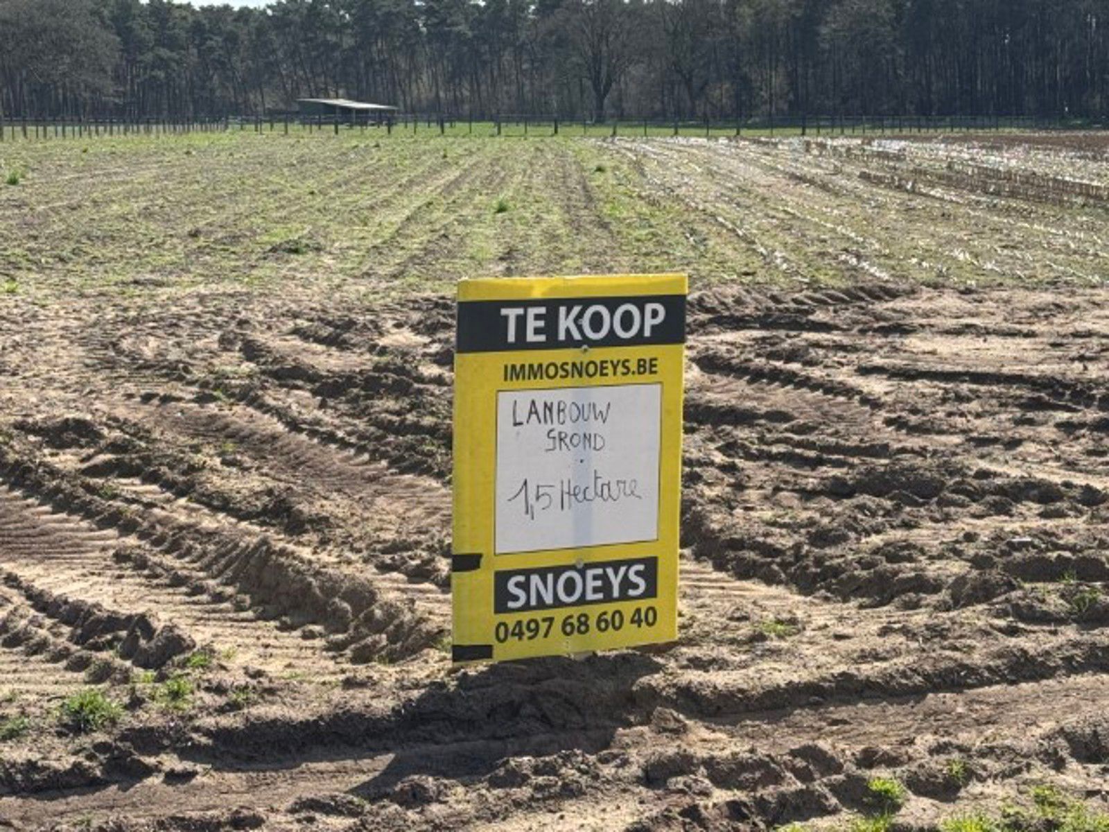 ()=>{if(producerUpdateValueVersion(node),producerAccessed(node),node.value===ERRORED)throw node.error;return node.value} Vosberg - 2275 Lille