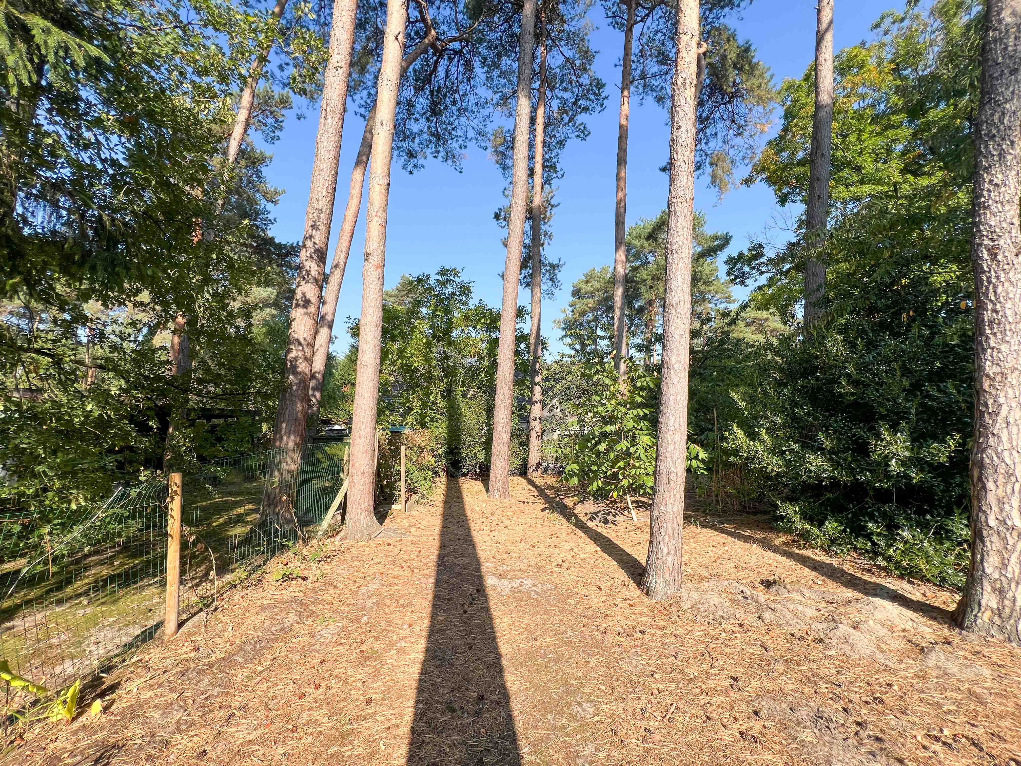Exclusieve villa op rustige locatie foto 28