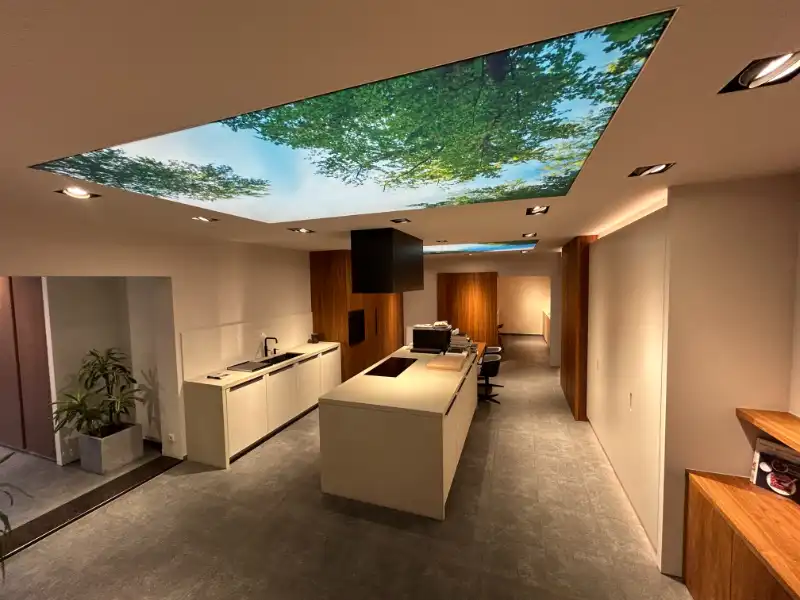 Ruime handelsruimte/toonzaal (338 m²) met 6 privéparkings – toplocatie! foto 4