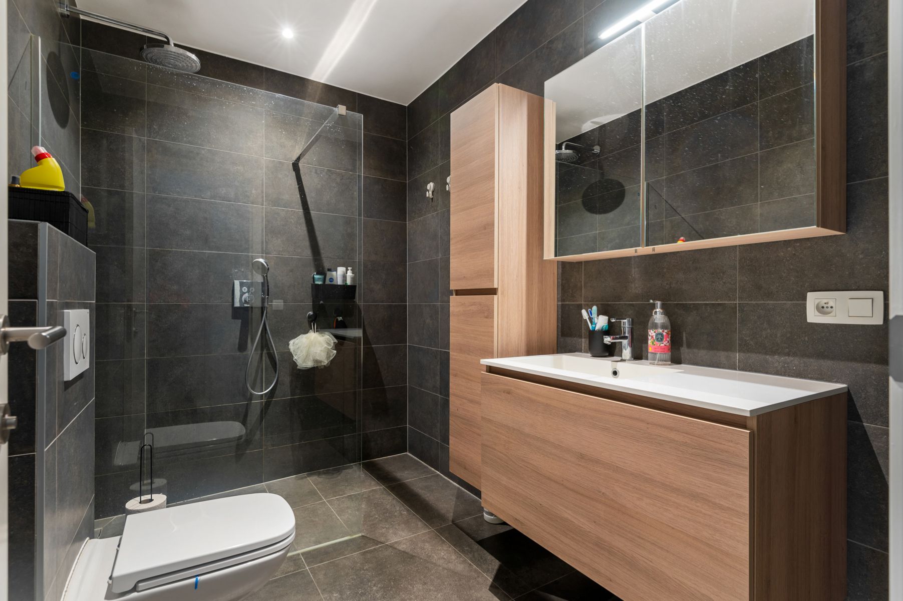 Instapklaar appartement gelegen in de wijk Pulhof te Berchem foto 8