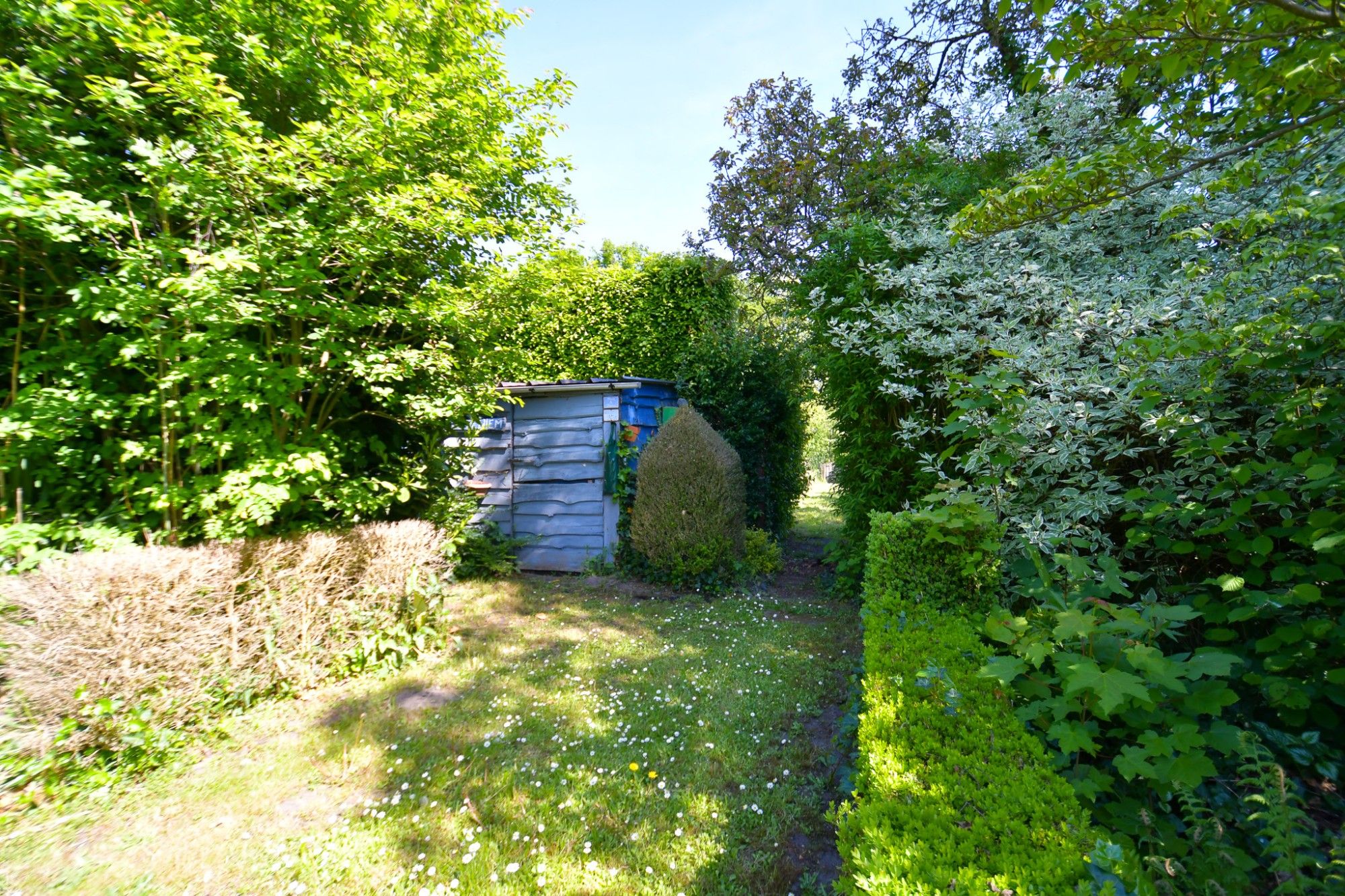 Woning en bijgebouw met prachtige idyllische tuin en uitweg op 2034 m² foto 8