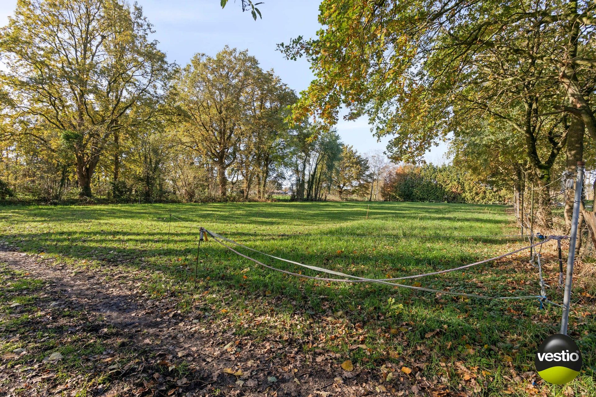 Achterliggend weiland van 33a 31ca aan de Bunderweg te Zonhoven. foto {{pictureIndex}}