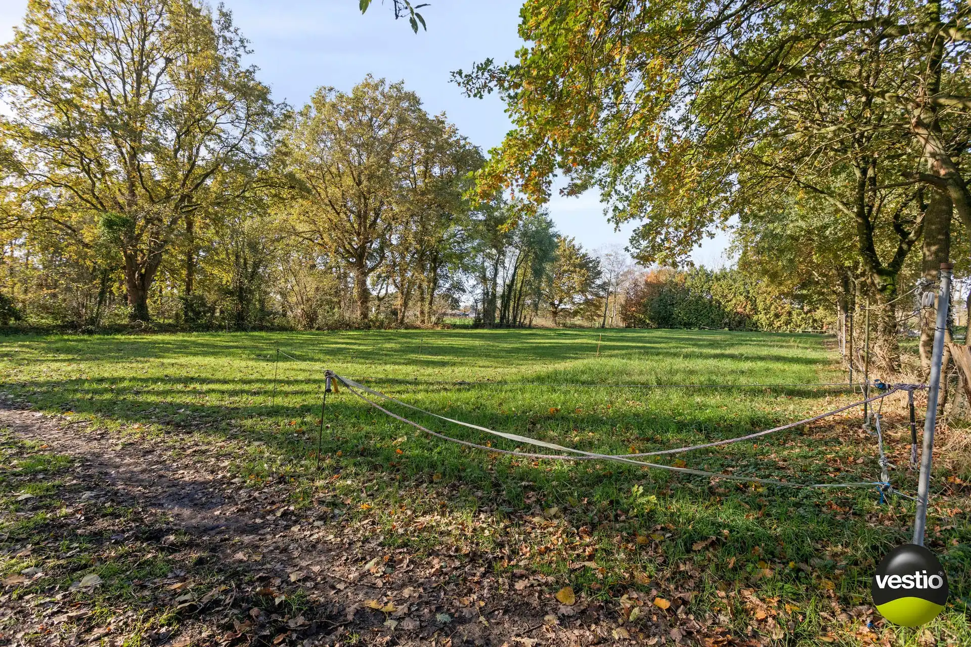 Achterliggend weiland van 33a 31ca aan de Bunderweg te Zonhoven. foto {{pictureIndex}}