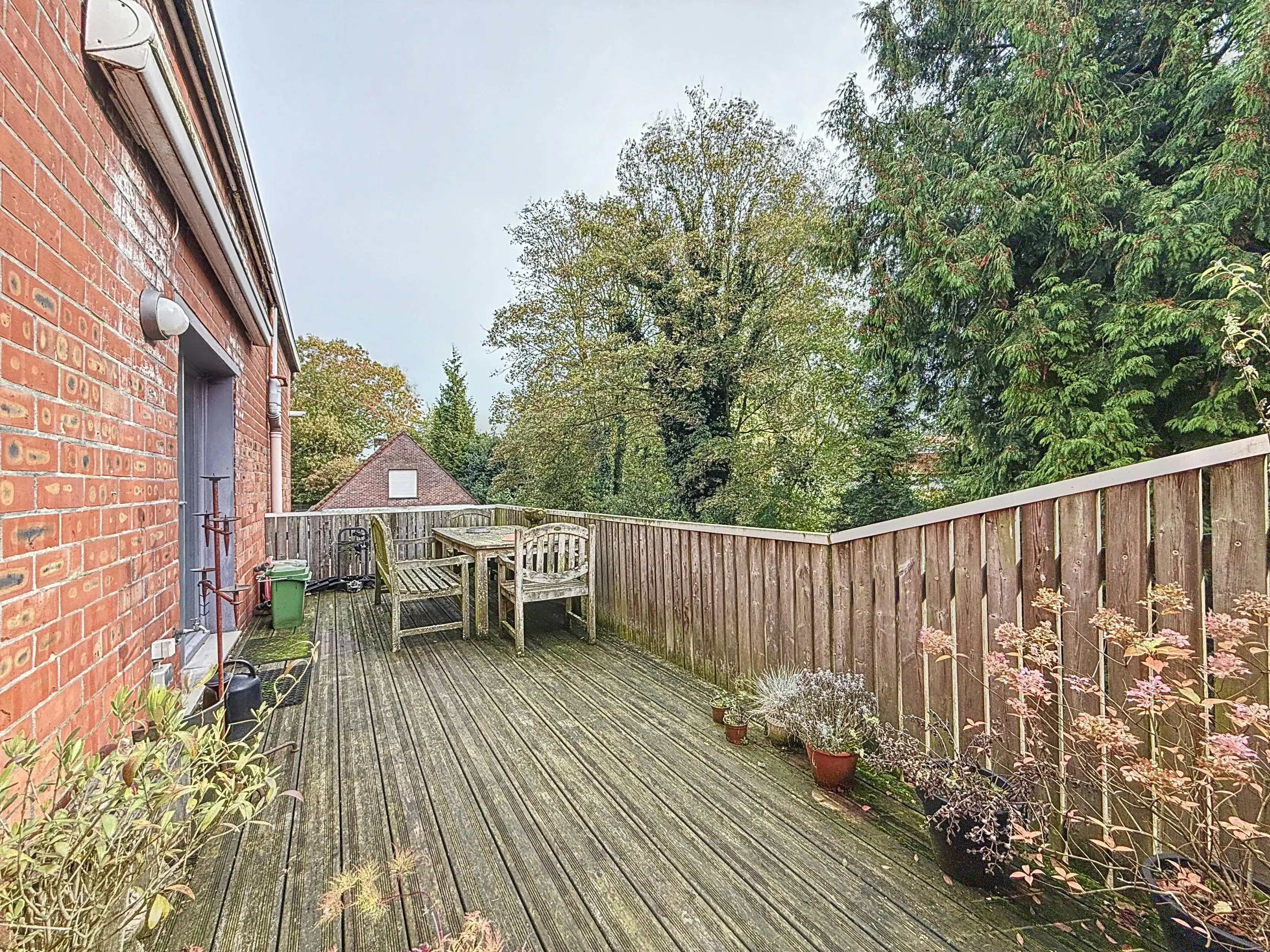 Vastgoedvennootschap te koop in Essen, Antwerpen foto 14