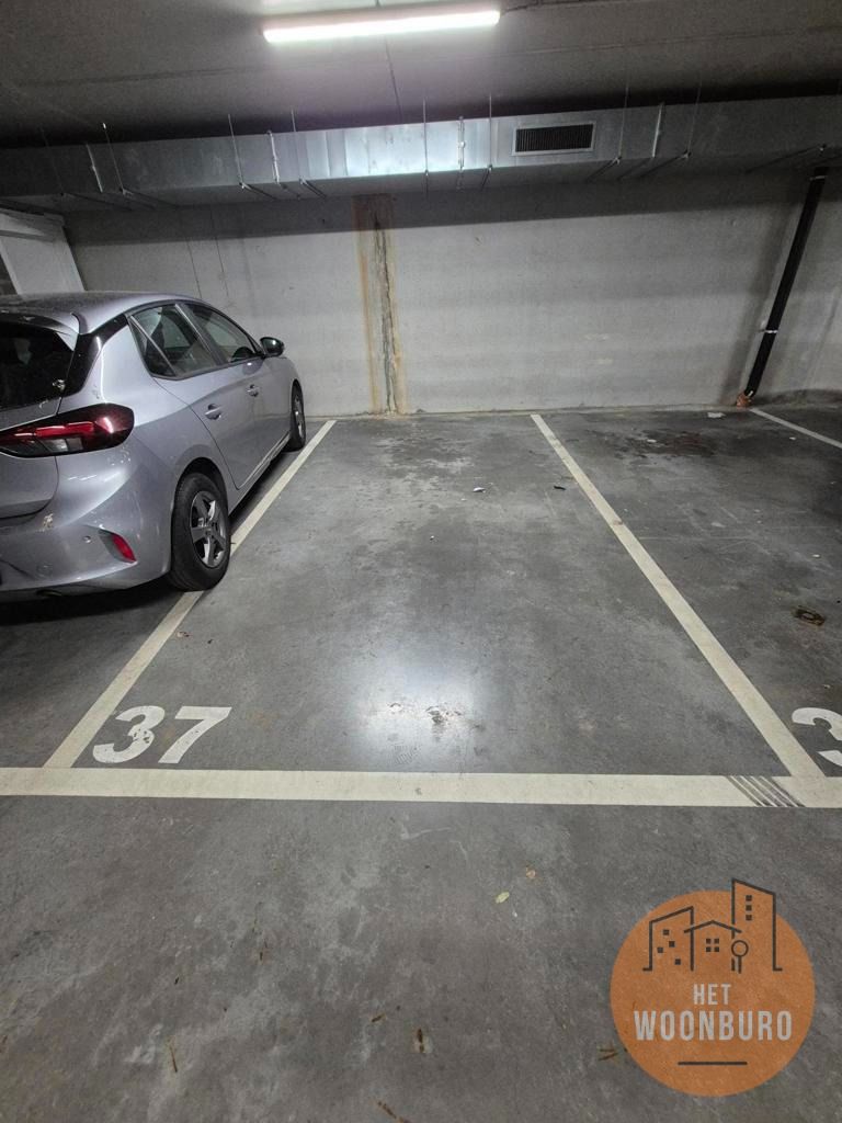 Gelijkvloersappartement met tuin, kelder en parkeerplaats foto 15