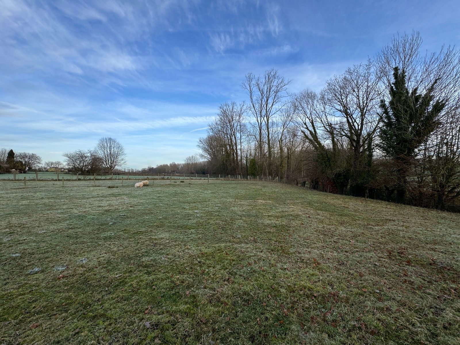 Perceel weide met een oppervlakte van 7a 13ca foto 3