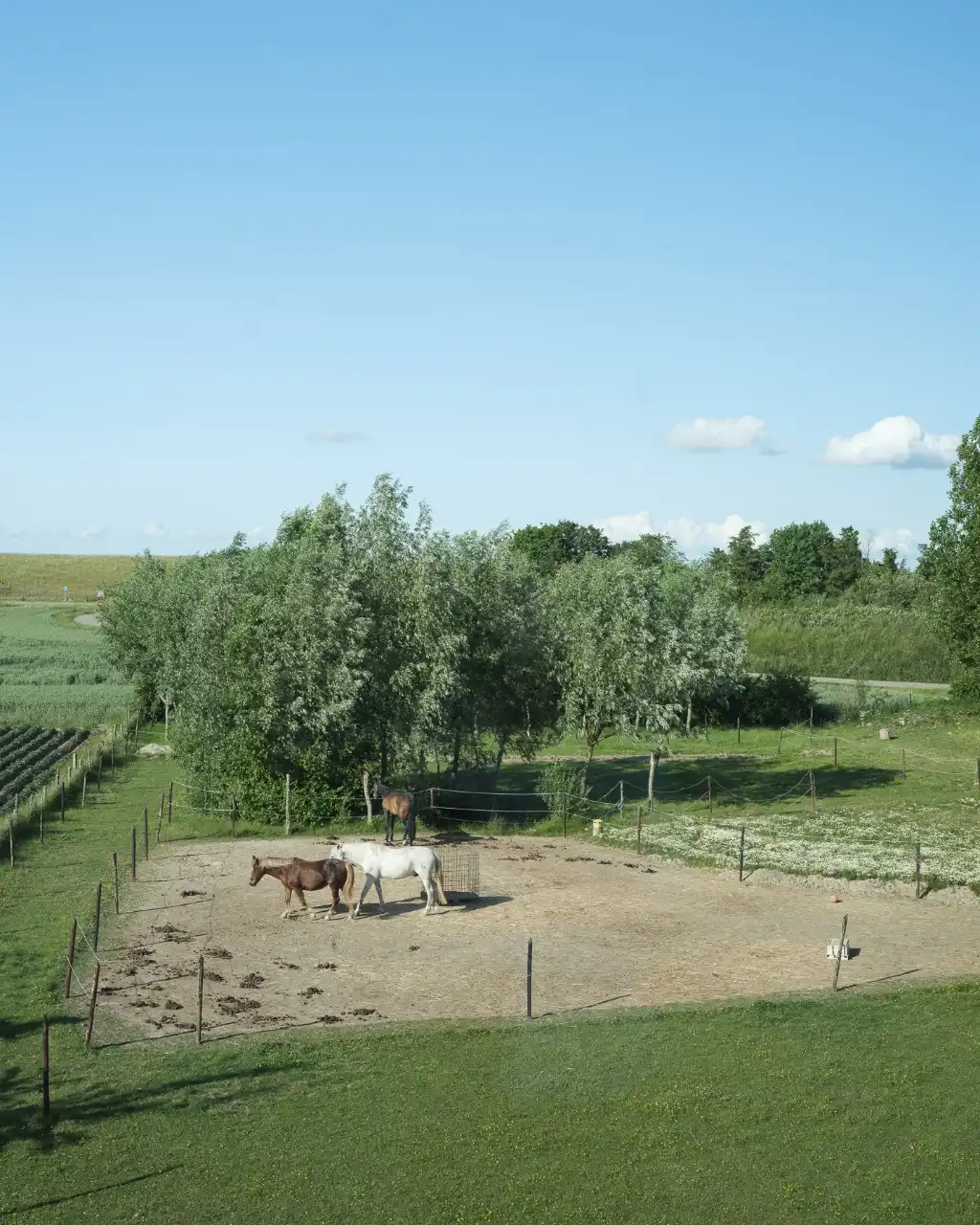 Breskens – Uitzonderlijke eigendom waar authenticiteit, karakter en strakke architectuur naadloos in elkaar samenvloeien op een exclusieve locatie tussen de velden en op een boogscheut van het strand. foto 26