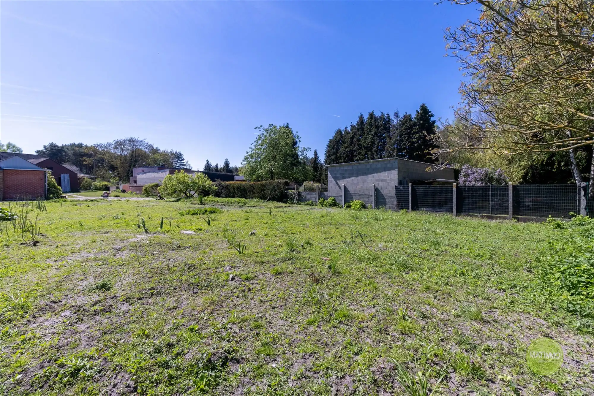 Woning met 3 slaapkamers op perceel van 1.298 m² in Balen foto 3