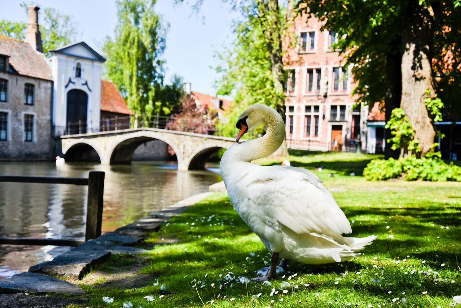 Hartje Brugge  TOP  TOERISTISCHE LIGGING , in de GOUDEN DRIEHOEK, Uitzonderlijk HANDELSPAND ( gevelbreedte 11 meter)                          LICHTRIJKE WINKELRUIMTE ,uitgevend op  Exclusieve STADSPATIO met overdekte rondgang van 105m²+ GARAGE van 30 m² UNIEK  IN BRUGGE op dergelijke ligging ! ERBOVEN lichtrijk ruim APPARTEMENT met zonneterras, foto 5