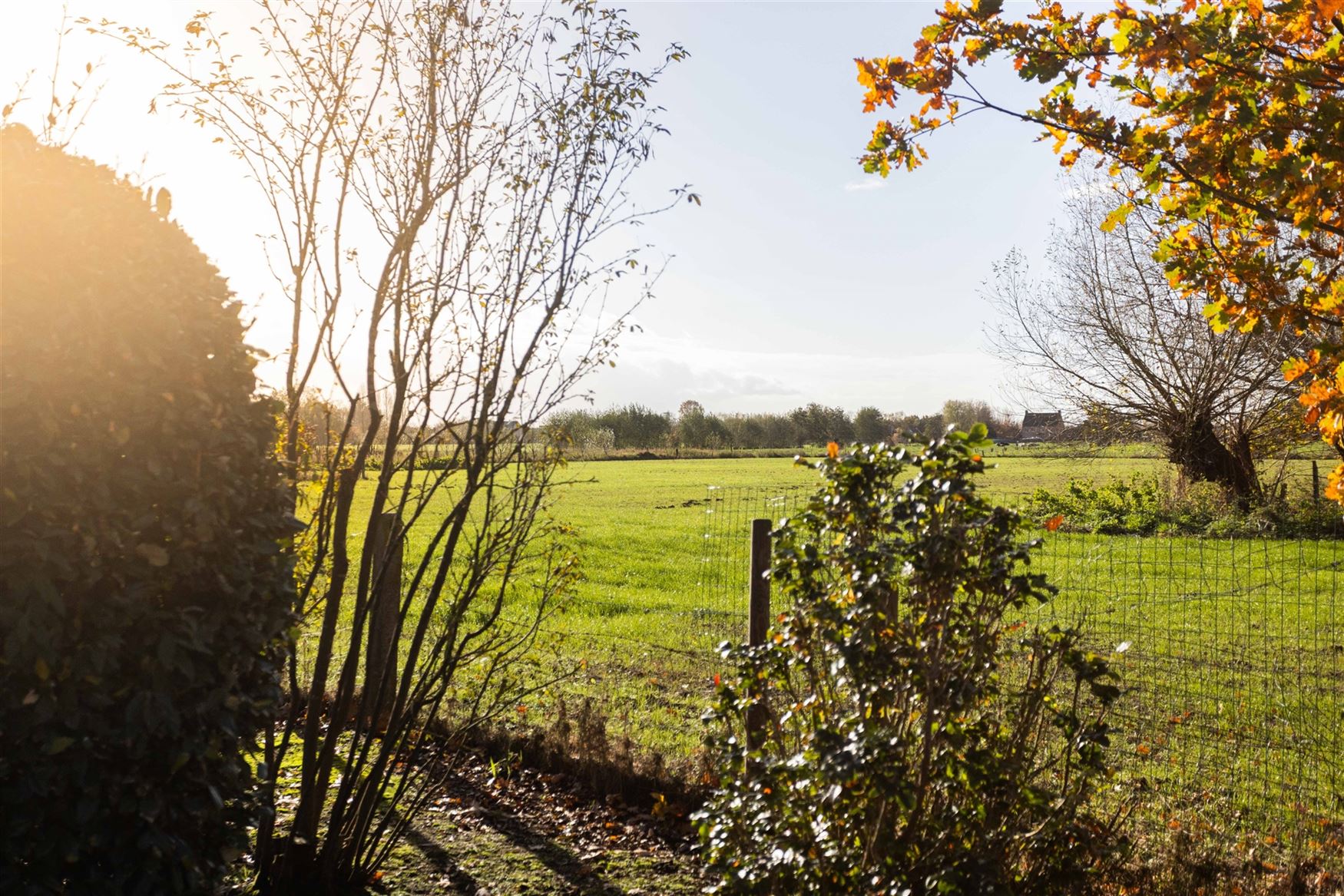 Charmante bungalow met open zicht en potentieel te Nazareth. foto 29