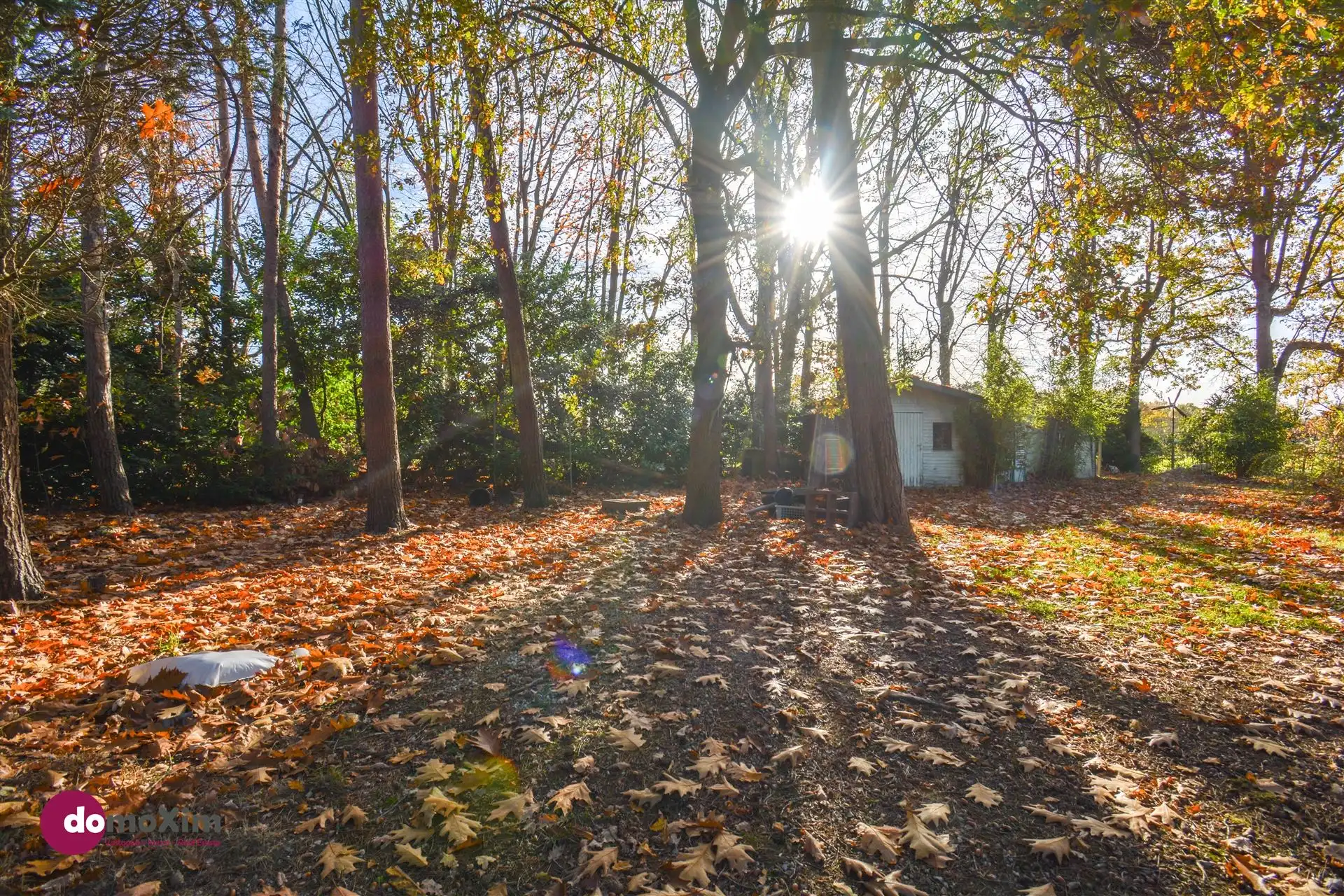 Te renoveren vakantiewoning in groene omgeving te Haacht foto 14