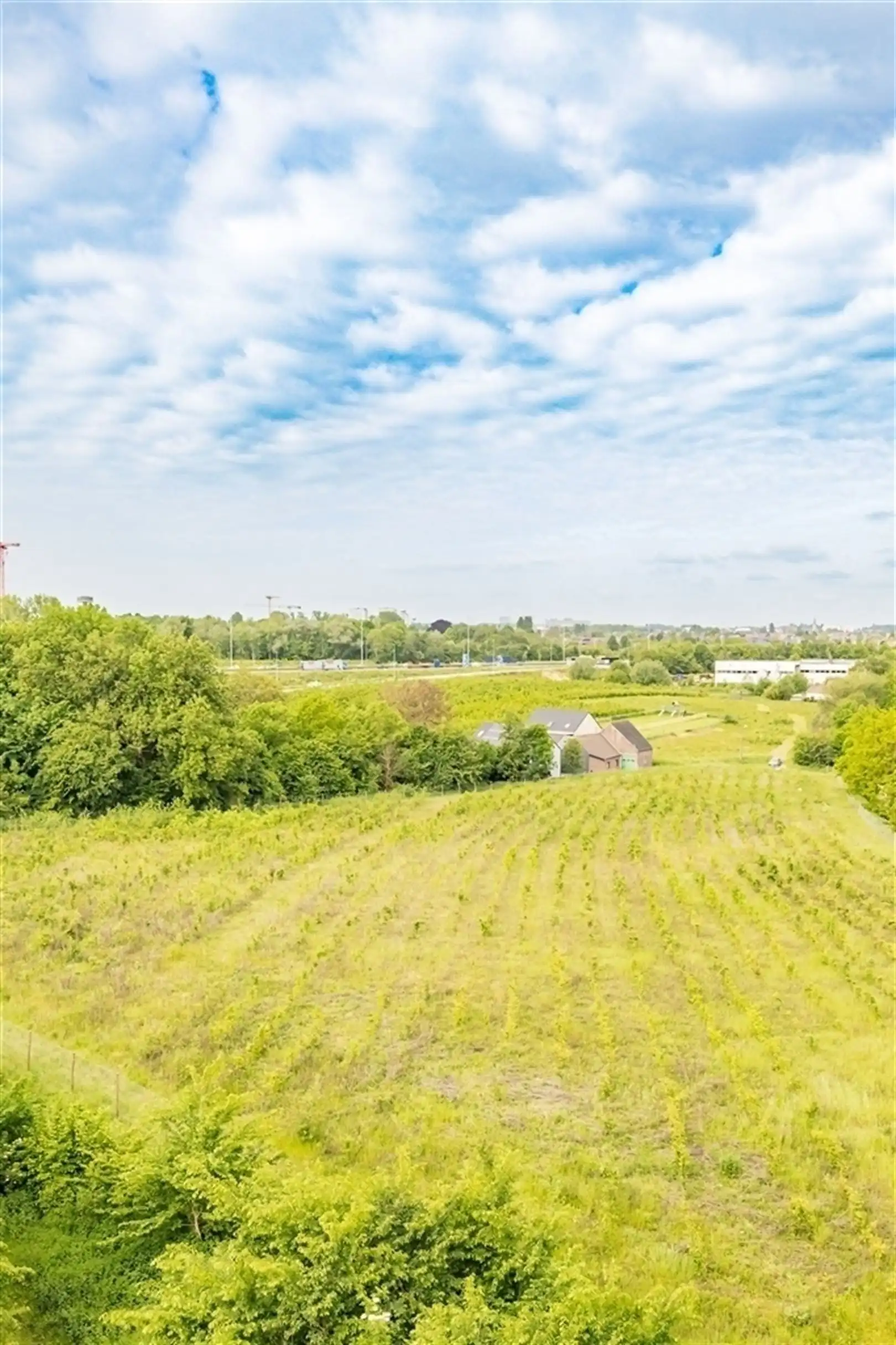 BOUDEWIJNLAAN 30: kantoor van 351m² foto 21