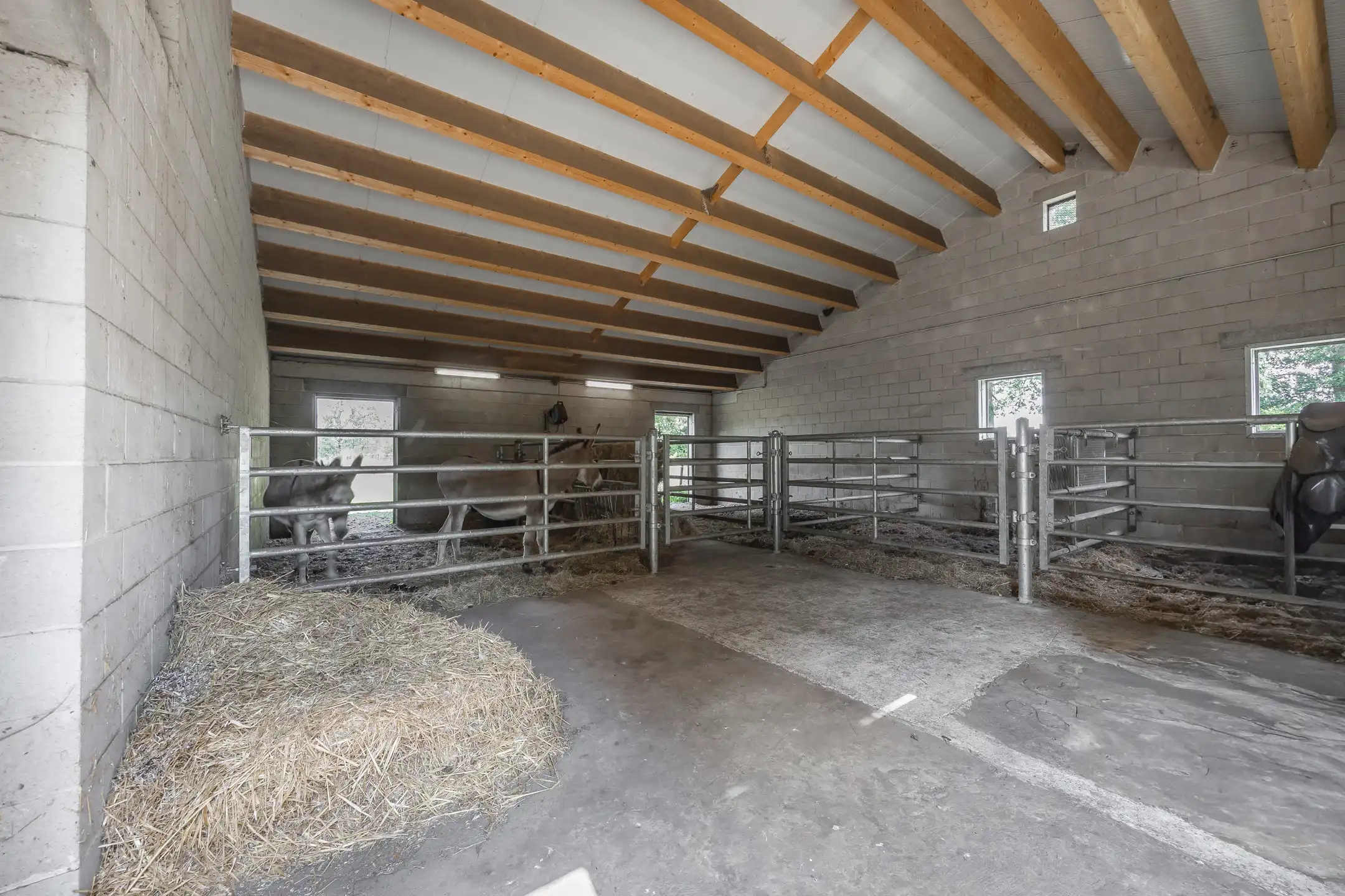 Unieke hoeve op een domein van maar liefst 8,56 Ha foto 12